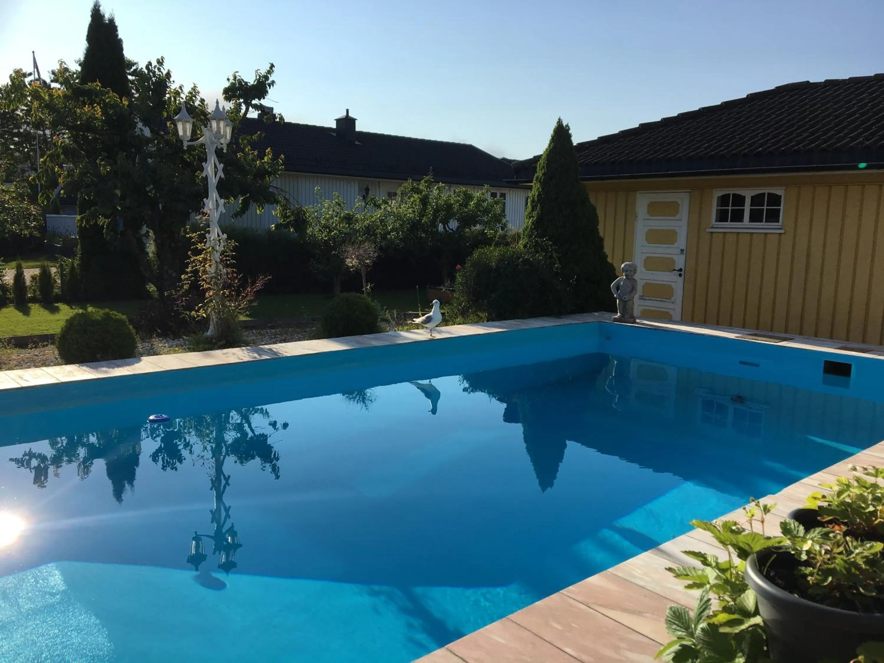 Swimming pool in Just Like Home Bed & Spa - free private parking