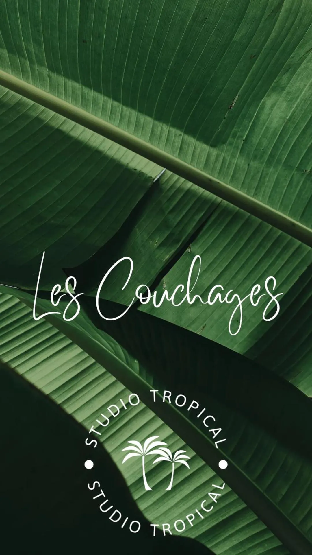 Studio Tropical avec vue mer dans une résidence hôtelière