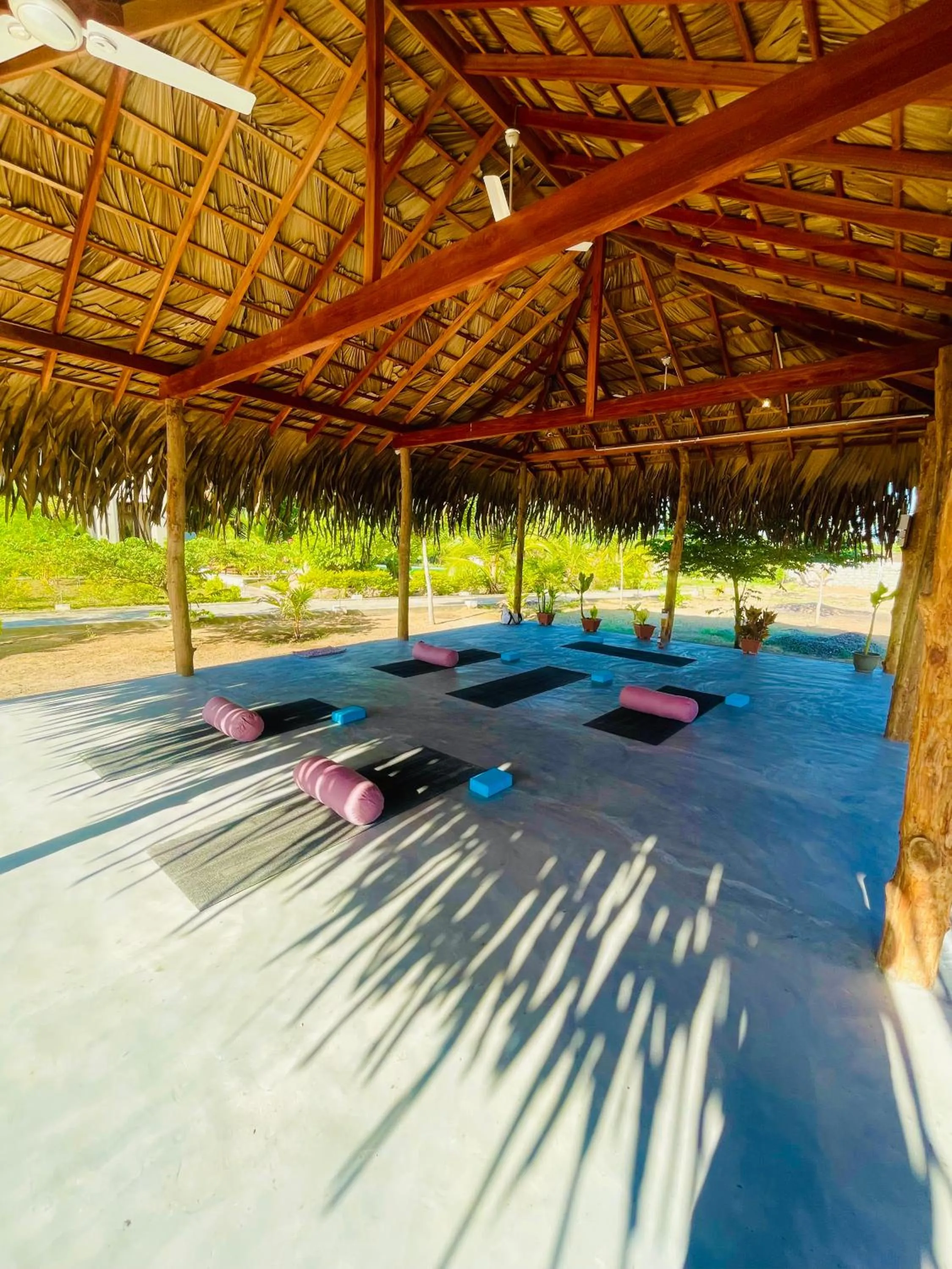 Property building in Paddyway Resort