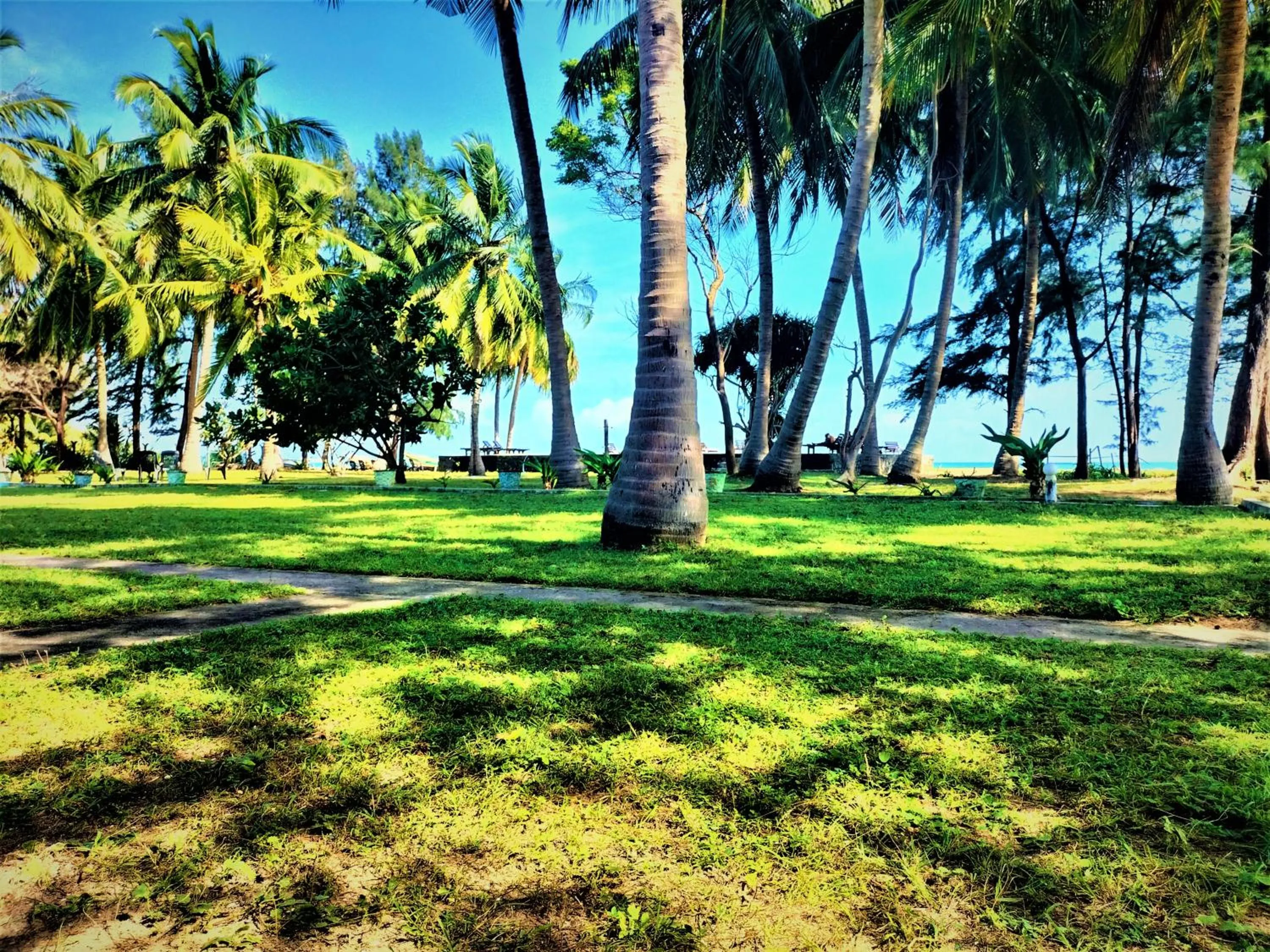 Spring in Hotel Coral Bay