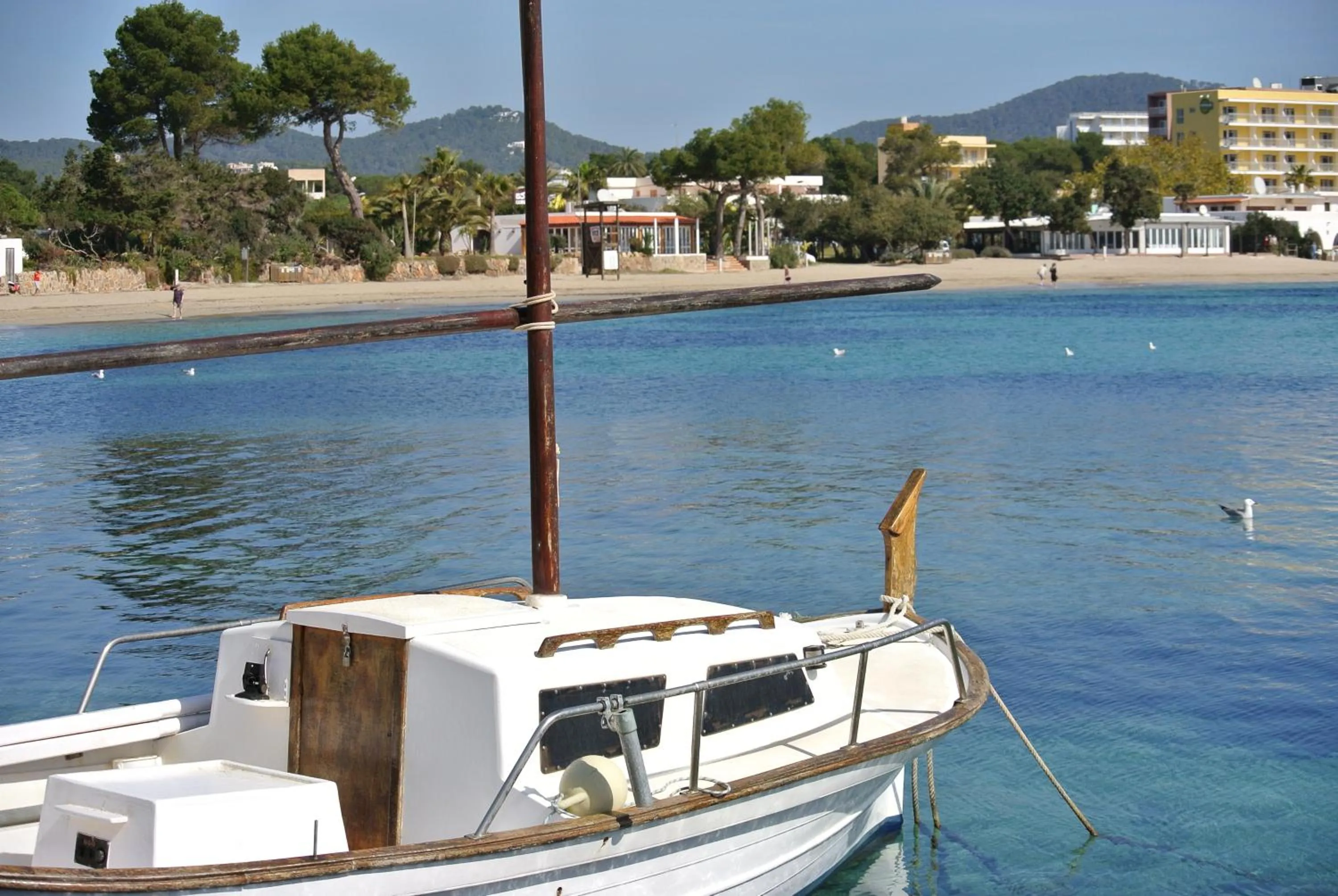 View (from property/room) in Hotel Boutique Las Arenas