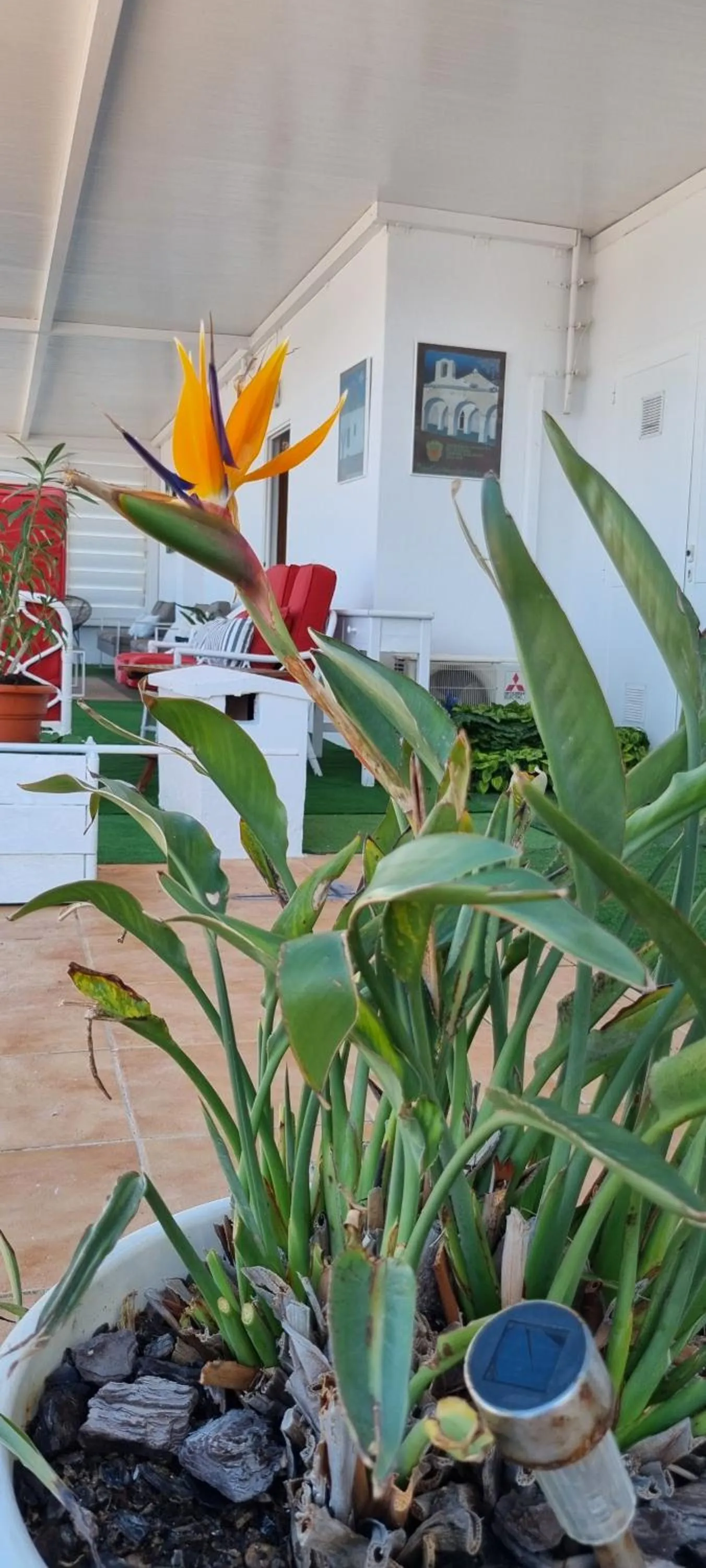 Property building in Hotel Boutique Las Arenas