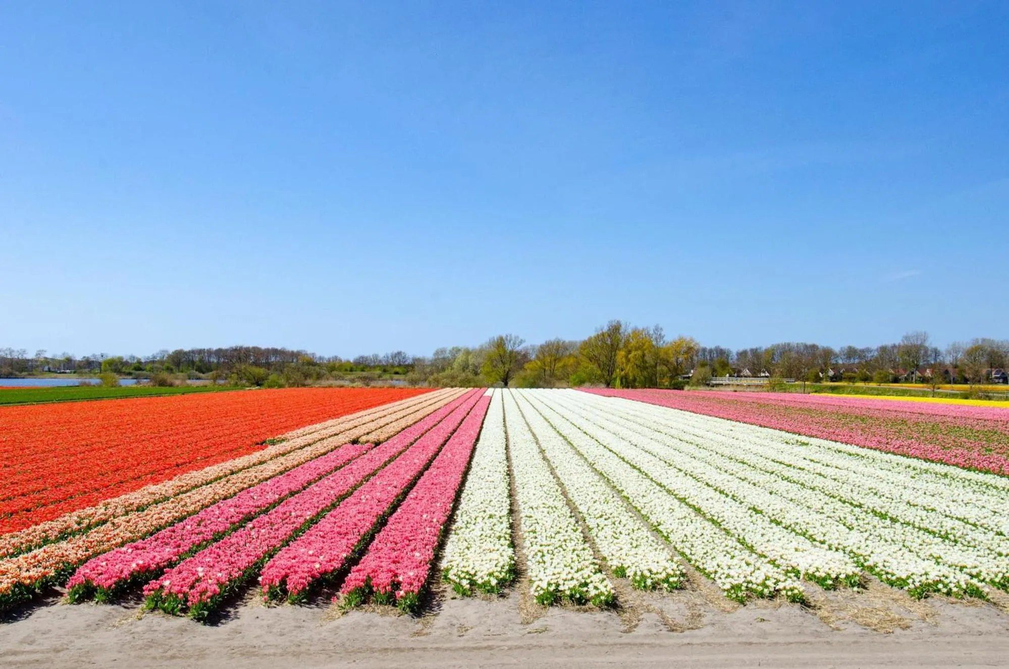 Bed and Breakfast Geliefd