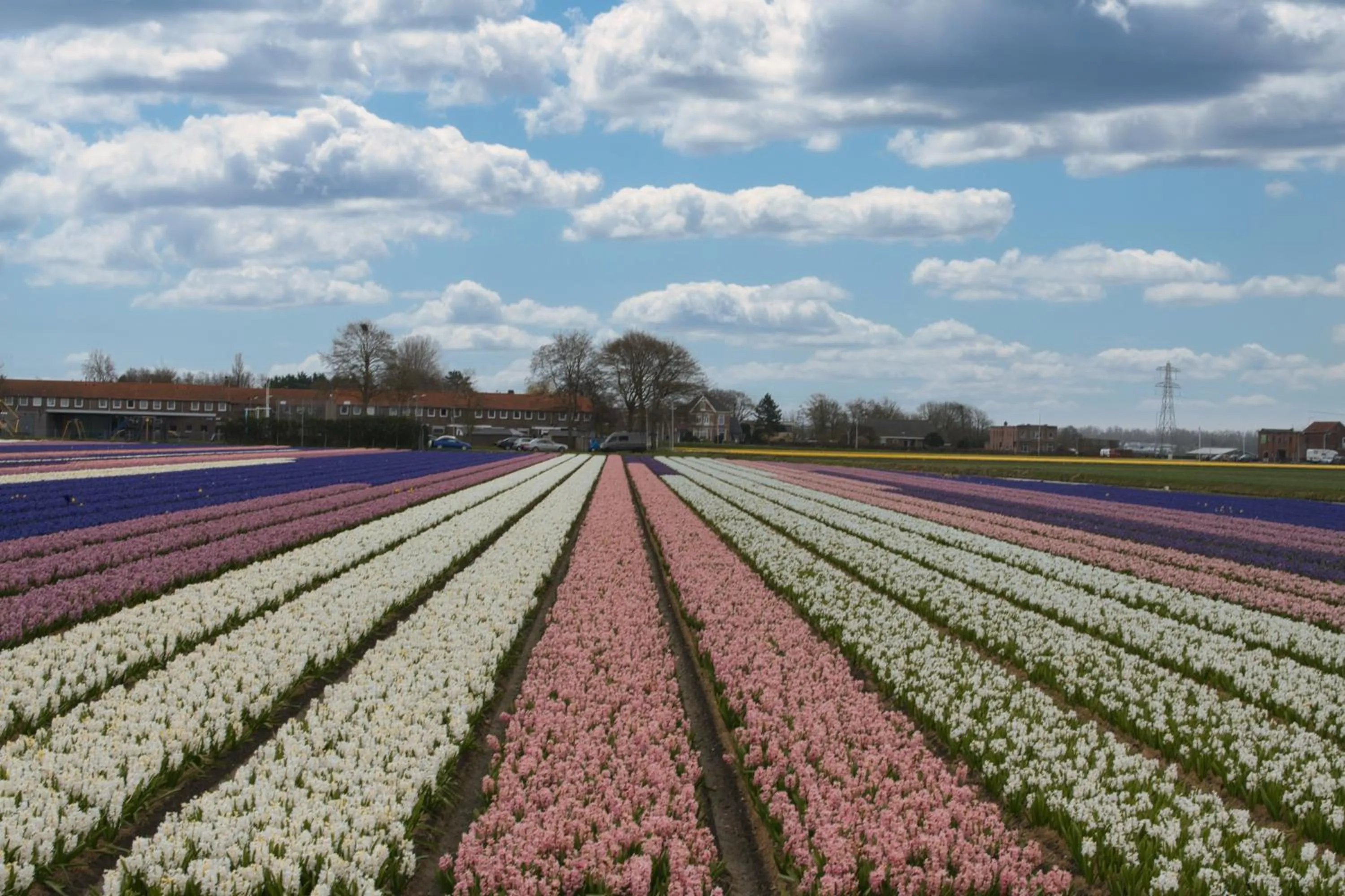 Spring in Bed and Breakfast Geliefd