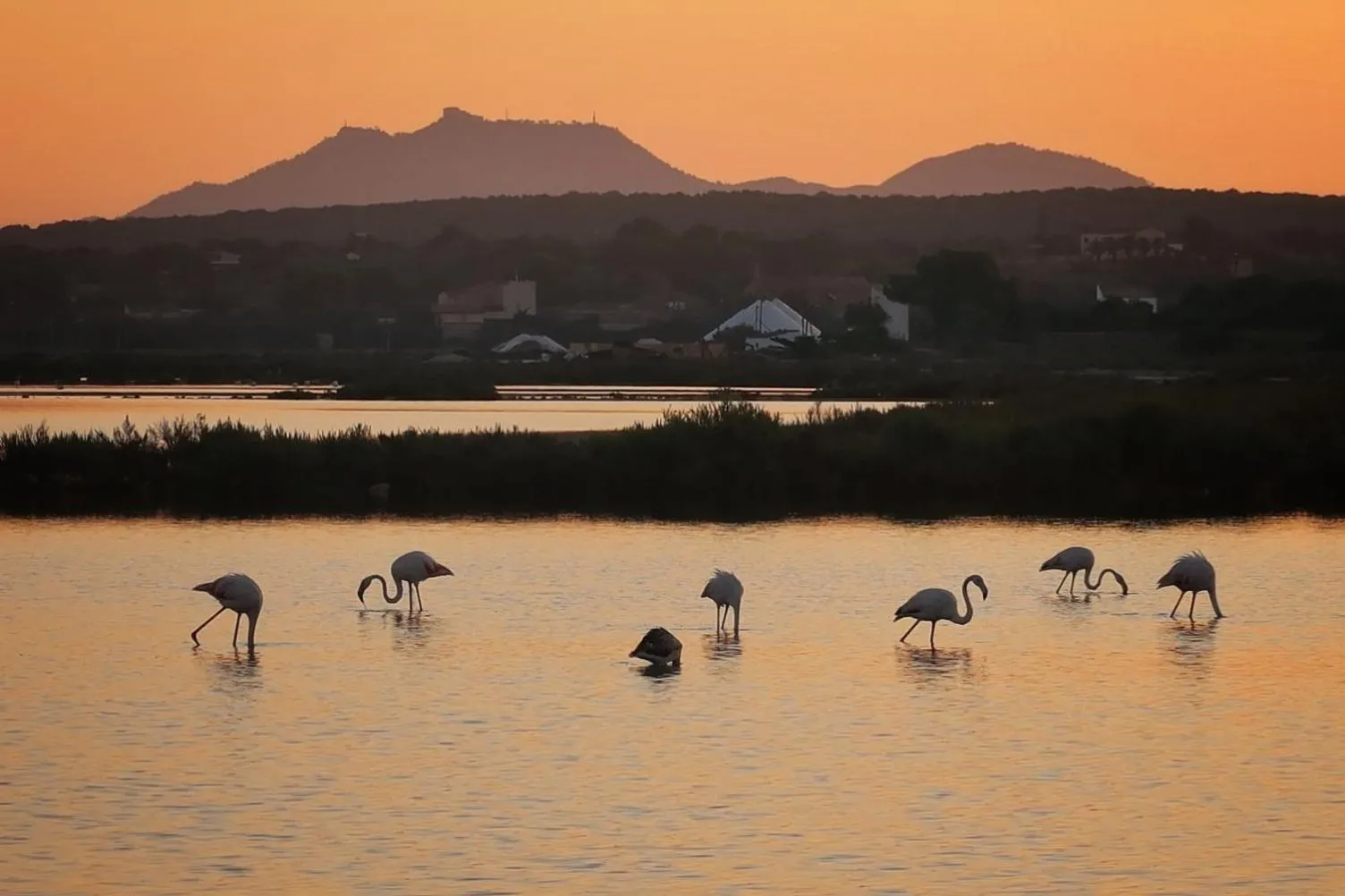 Natural landscape in Hotel Isla de Cabrera