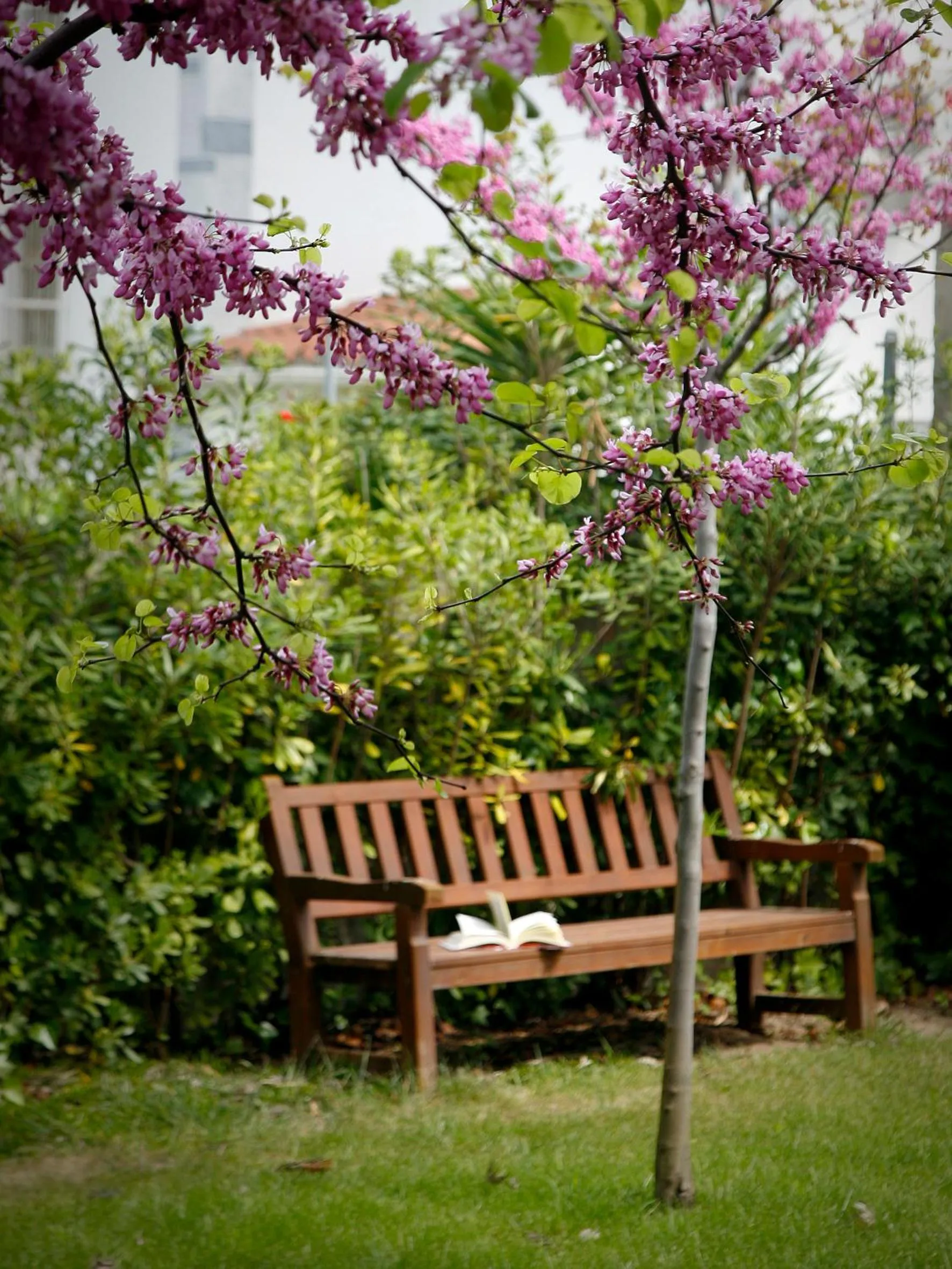 Facade/entrance in SG Costa BCN Apartments