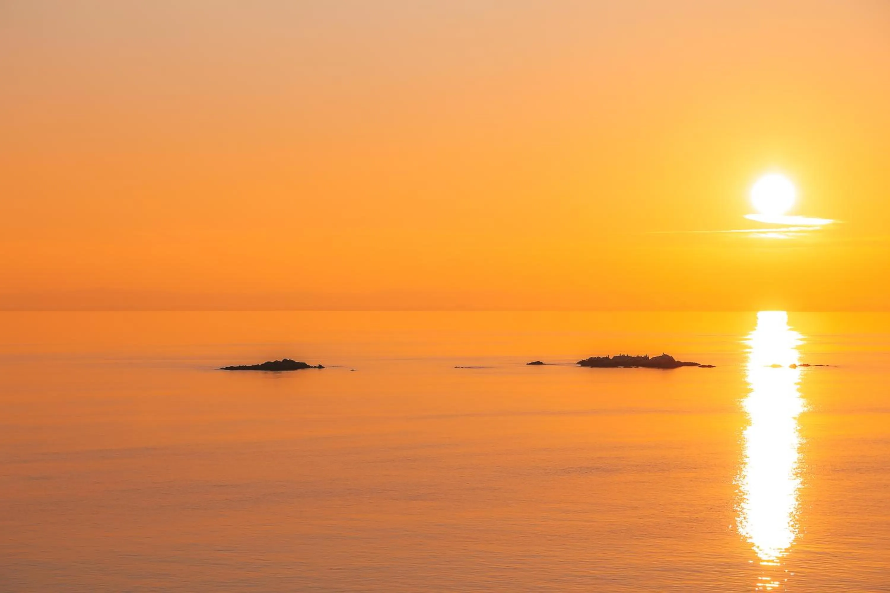 Natural landscape in Hotel Vistabella