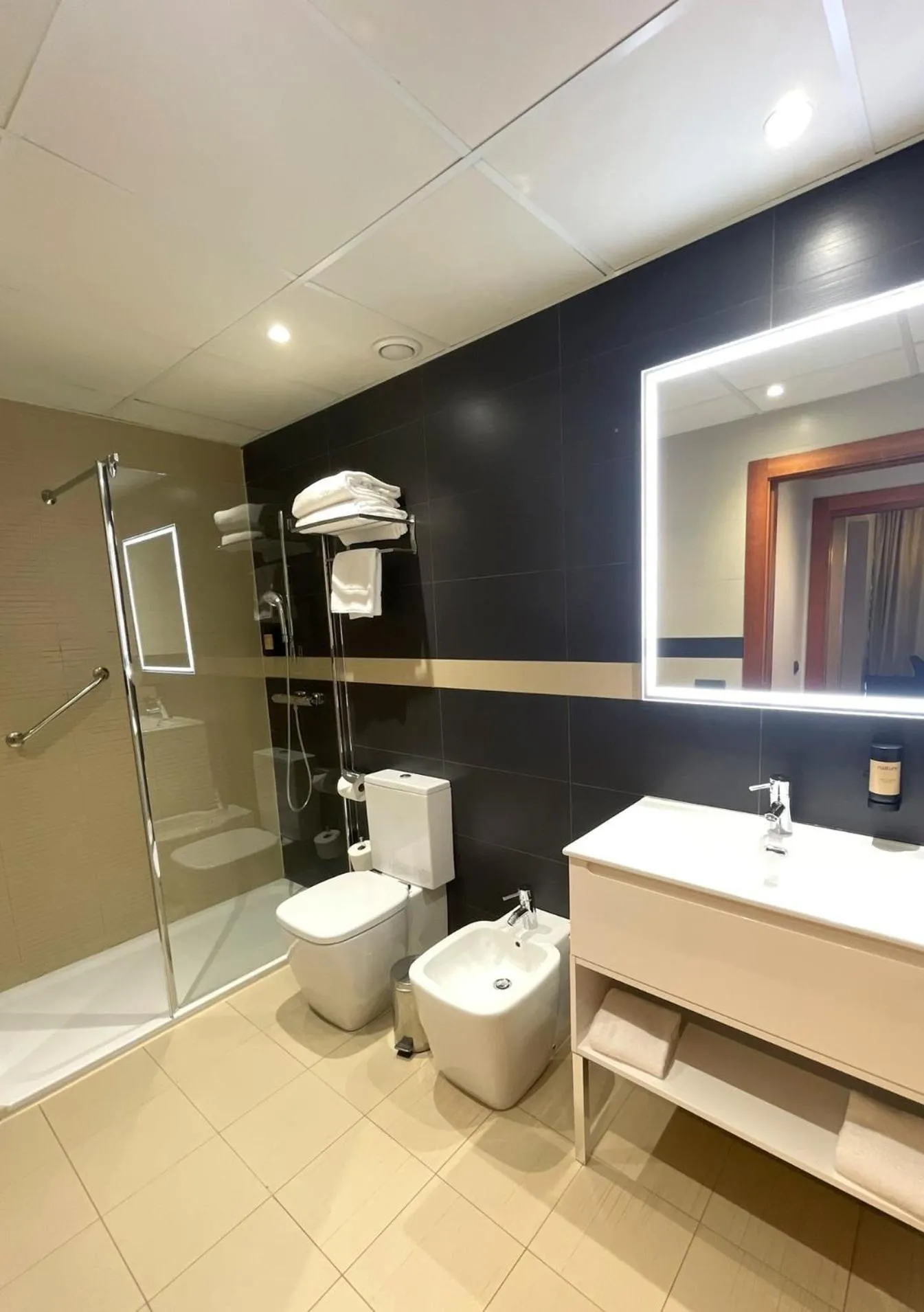 Shower in Hotel Apartamentos San Fermín Pamplona