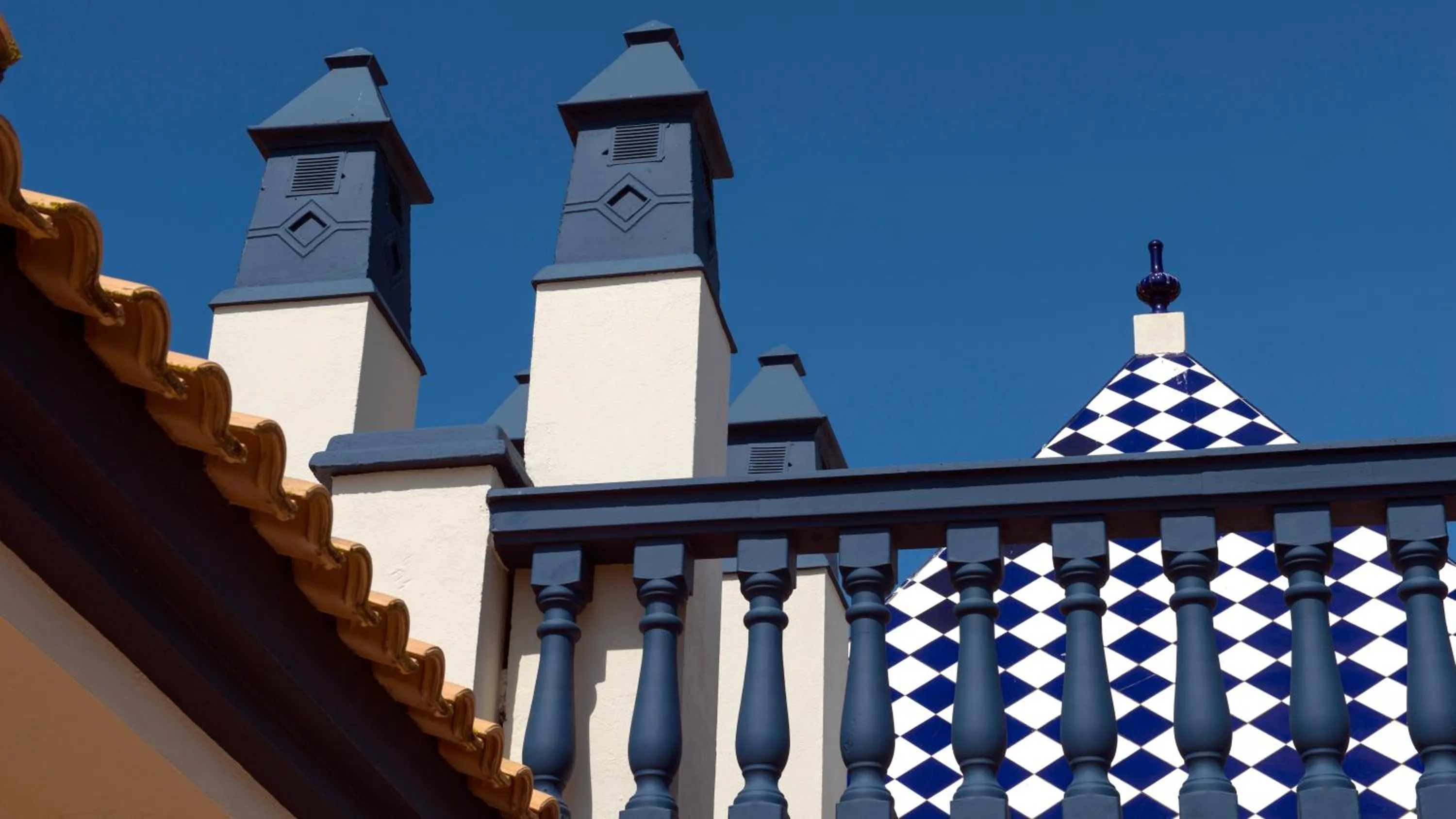 Other in Leo San Bruno