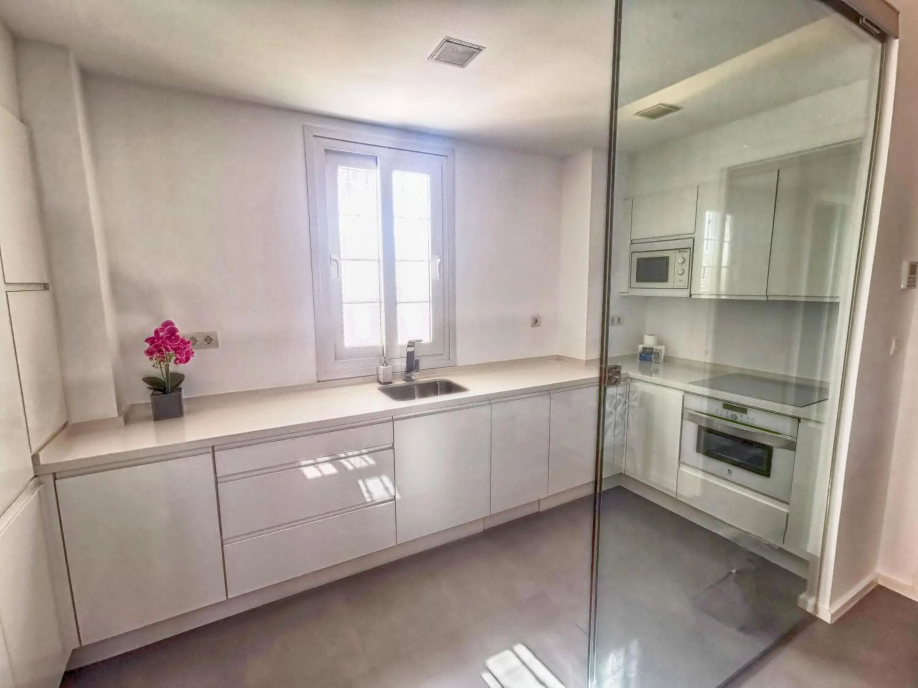 Kitchen or kitchenette in Leo San Bruno