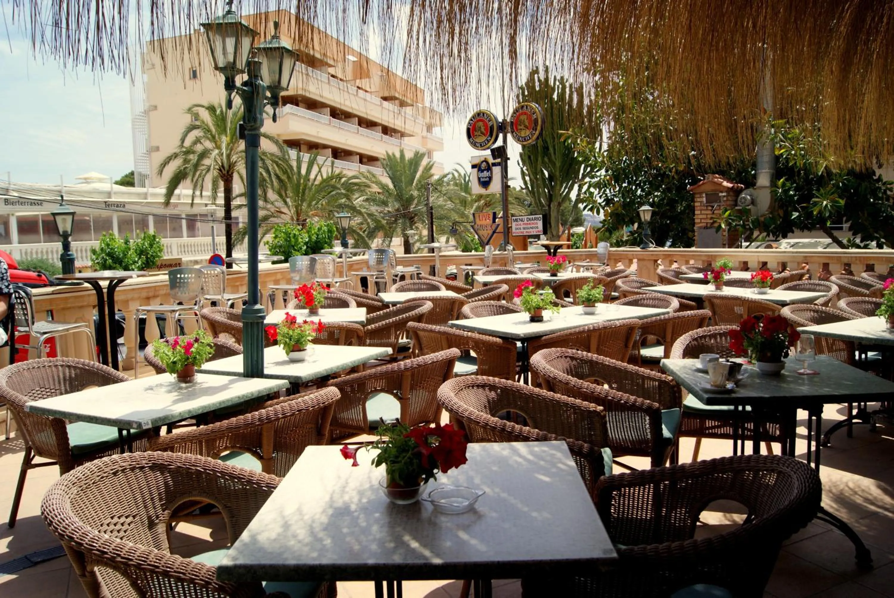 Food and drinks in Hotel Playas de Paguera