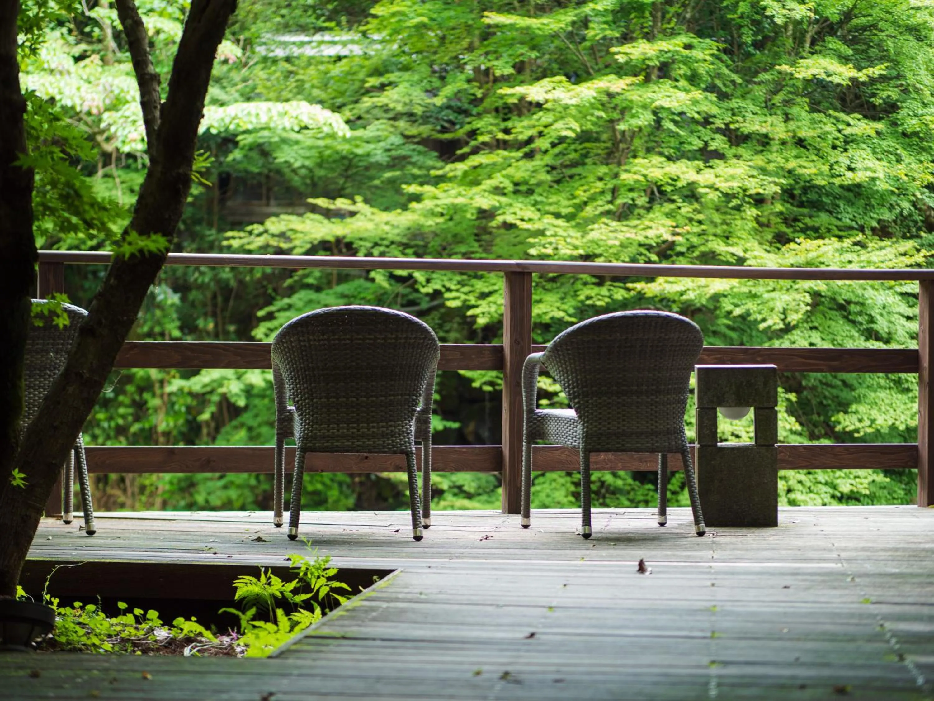 Hot Spring Bath in Yukyo no Hibiki Yusai