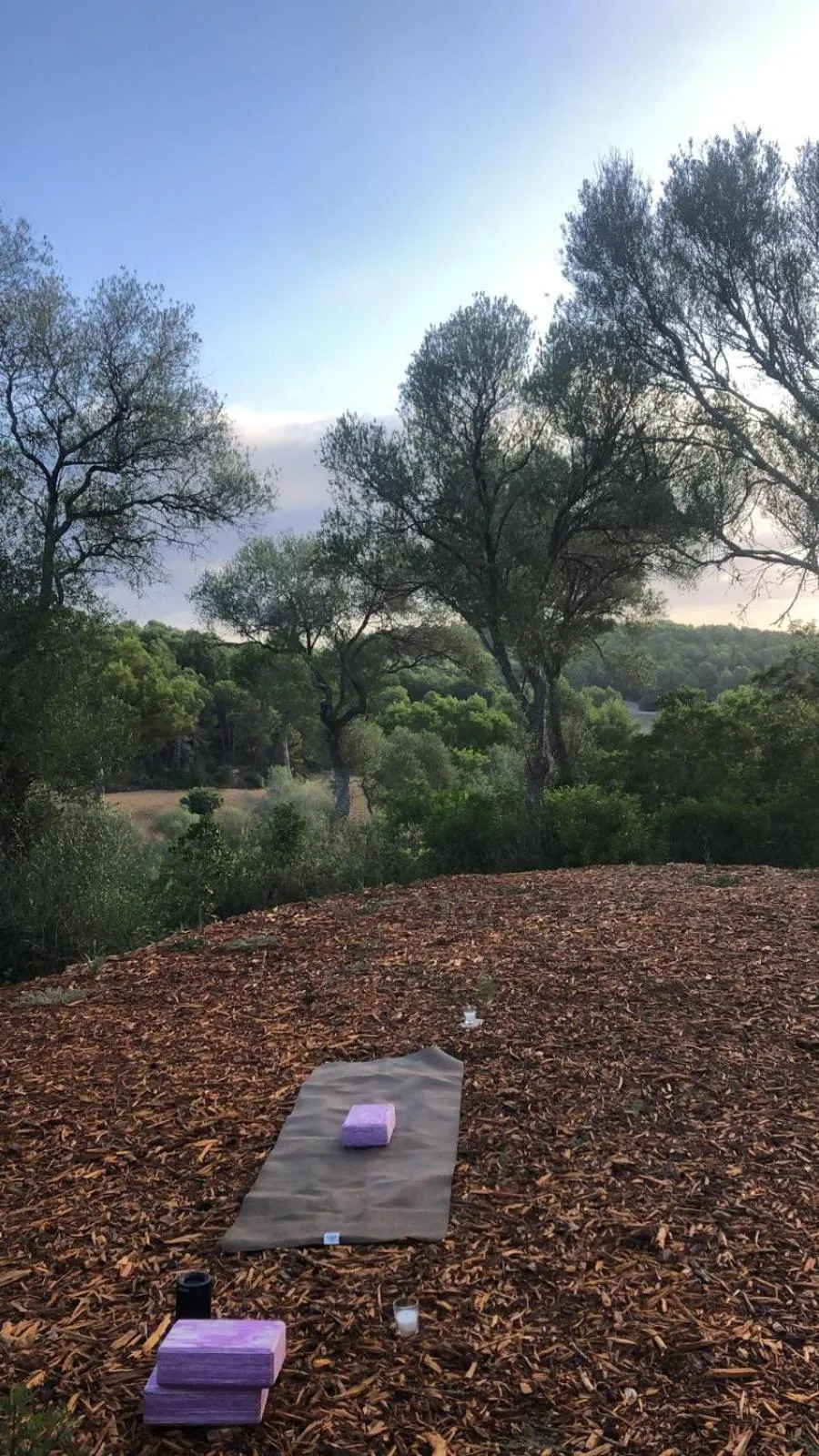 Natural landscape in Fincahotel Treurer - Olive Grove & Grand House - Adults Only