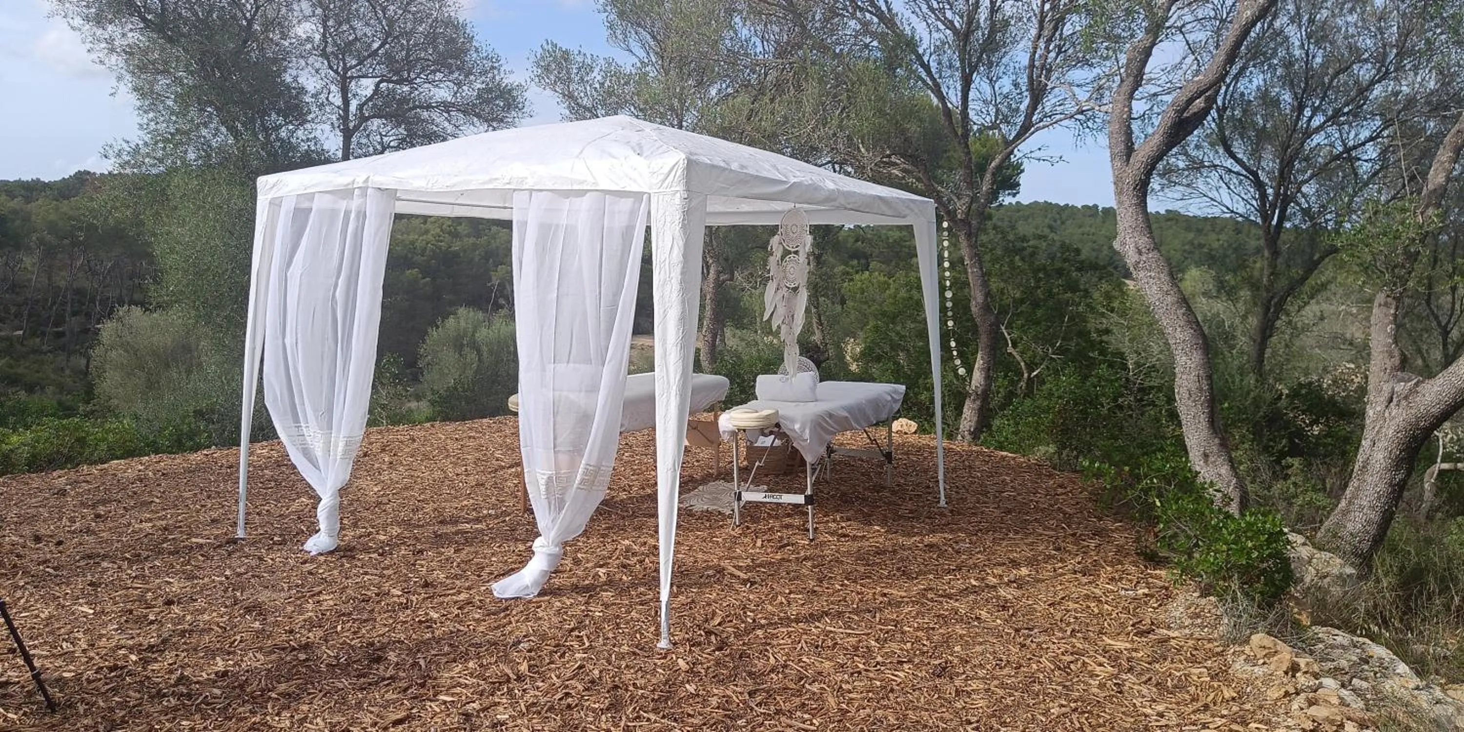 Natural landscape in Fincahotel Treurer - Olive Grove & Grand House - Adults Only