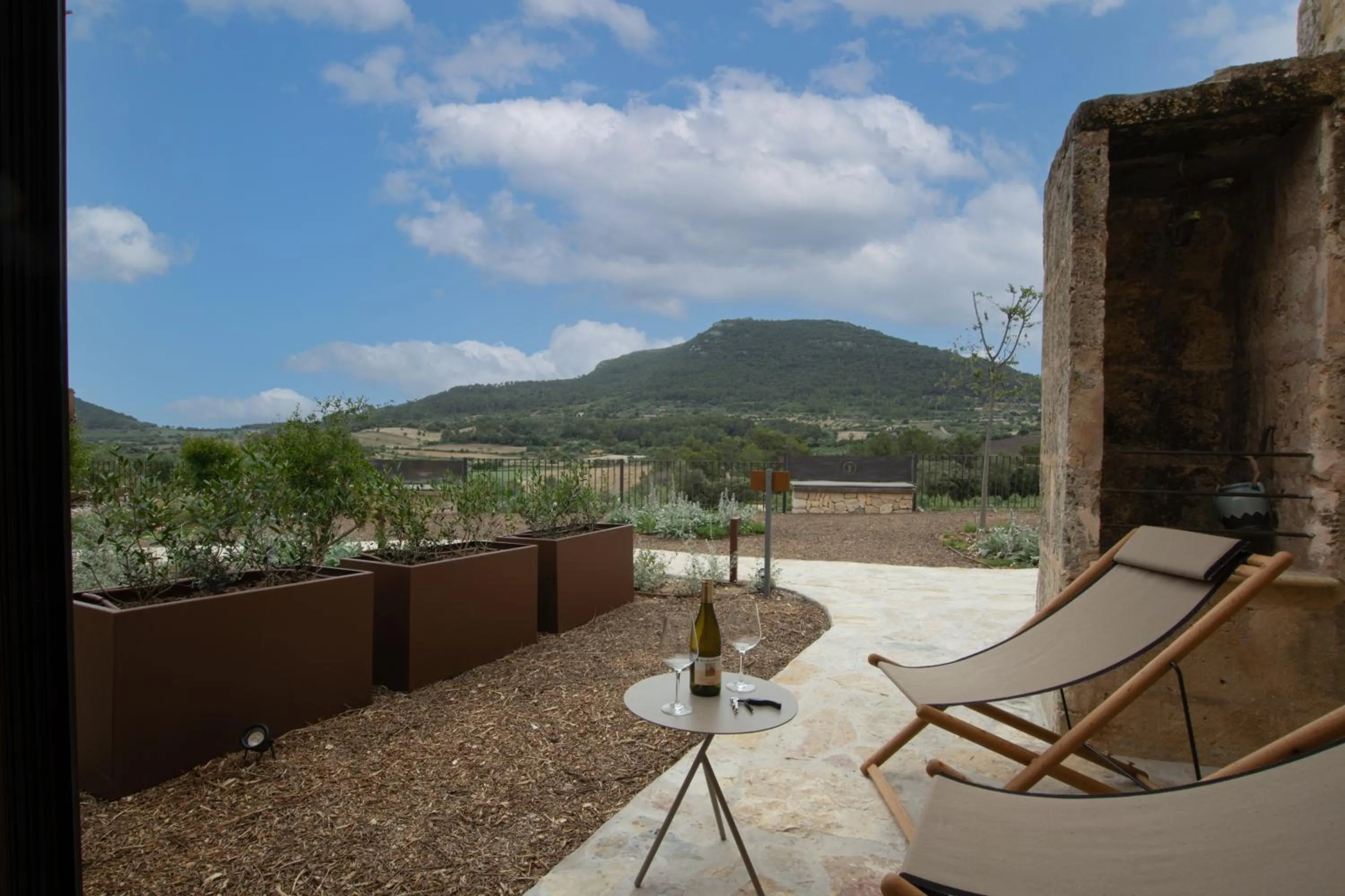 Natural landscape in Fincahotel Treurer - Olive Grove & Grand House - Adults Only