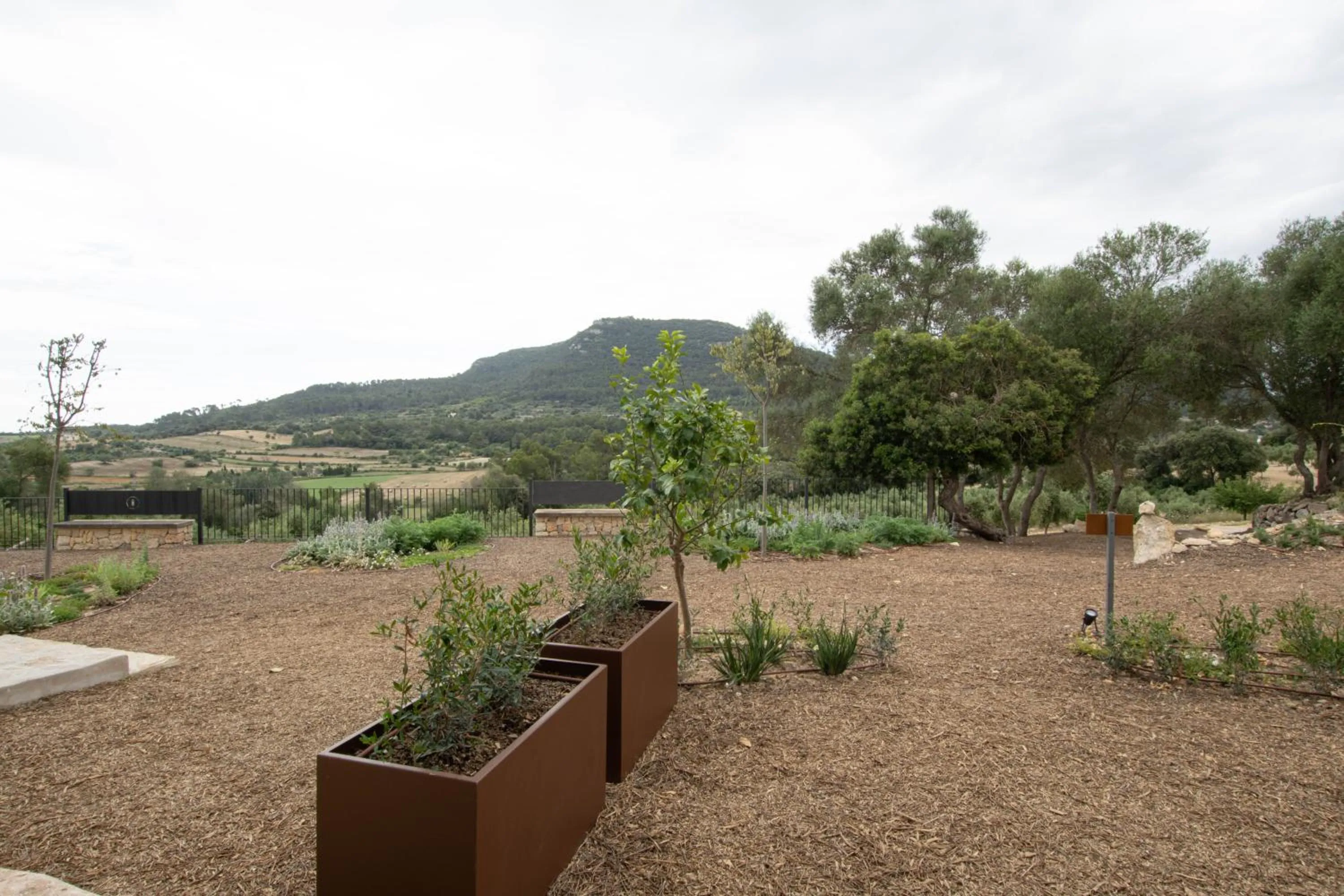 Natural landscape in Fincahotel Treurer - Olive Grove & Grand House - Adults Only