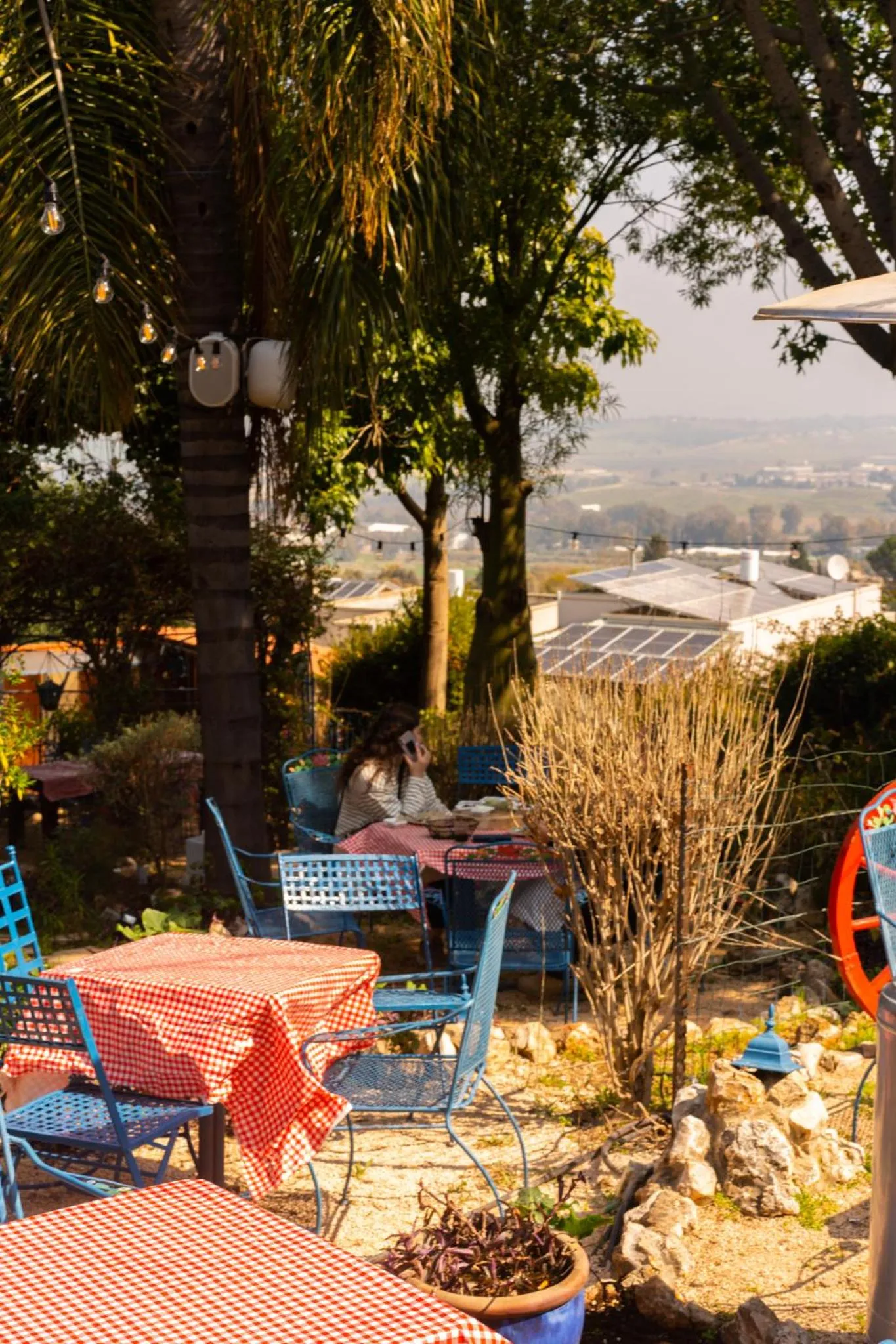 Restaurant/places to eat in וילה תהילה המחודש - The new Villa Tehila