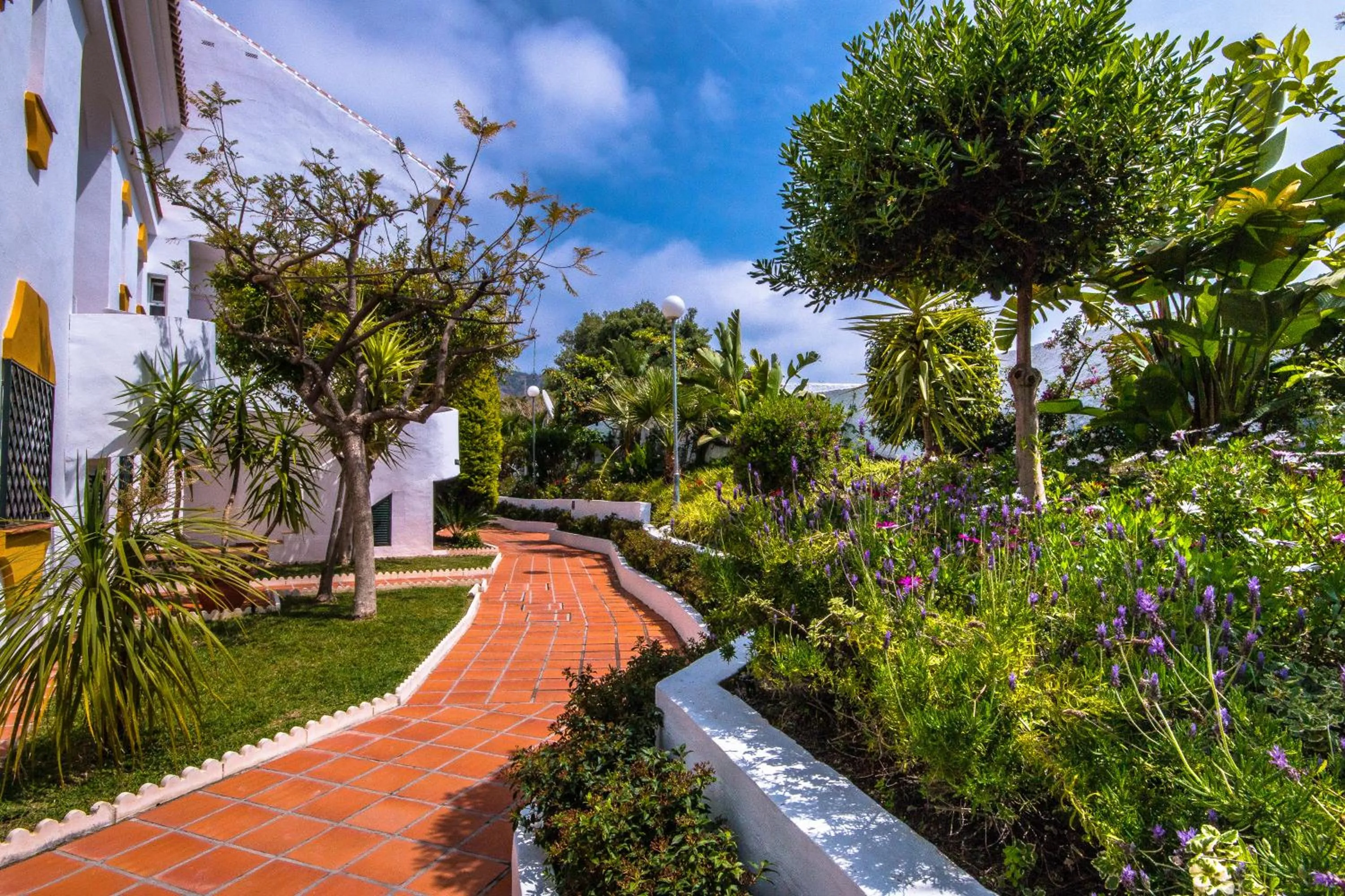 Garden view in Apartamentos Las Rosas de Capistrano