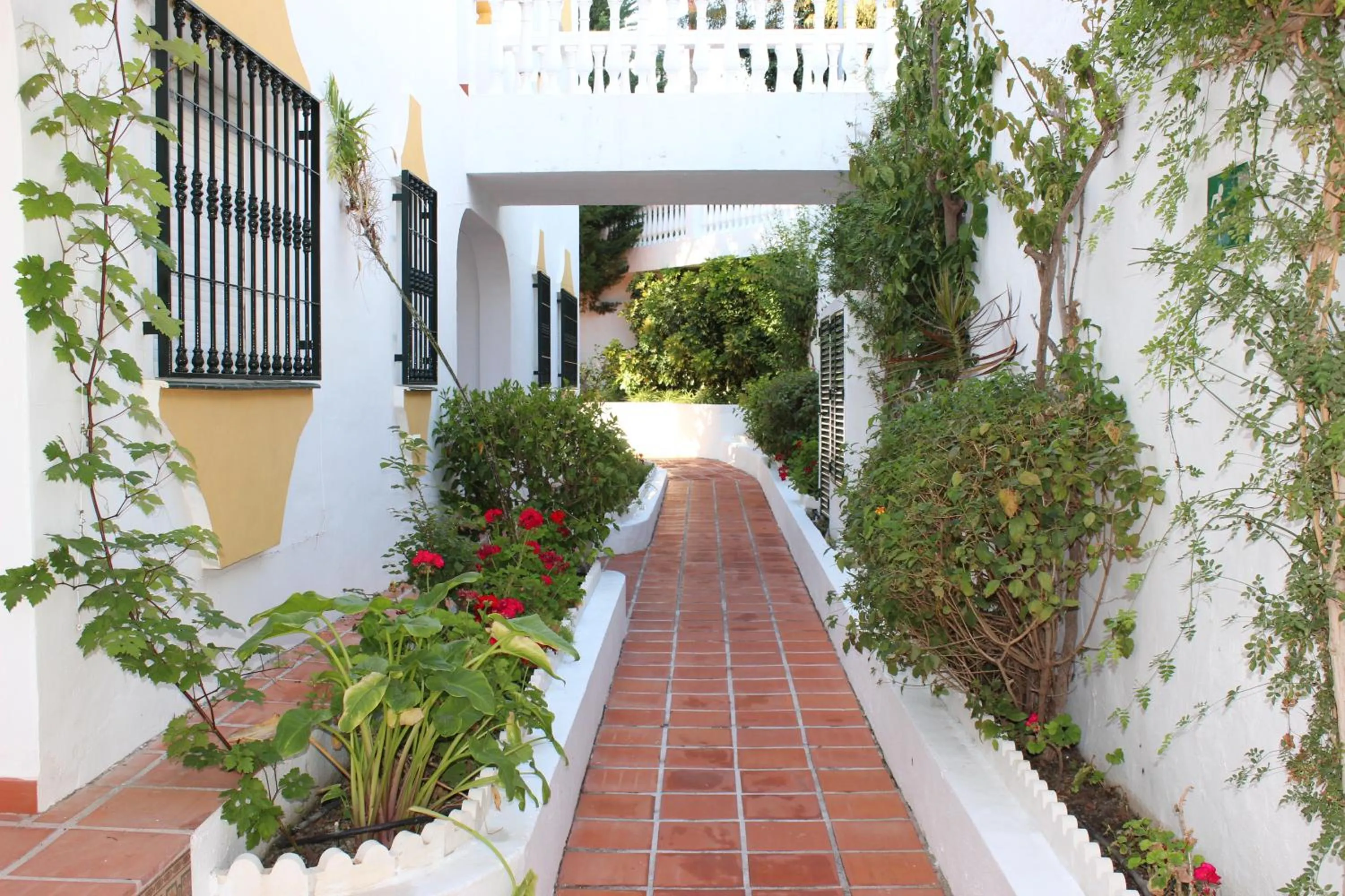 Patio in Apartamentos Las Rosas de Capistrano