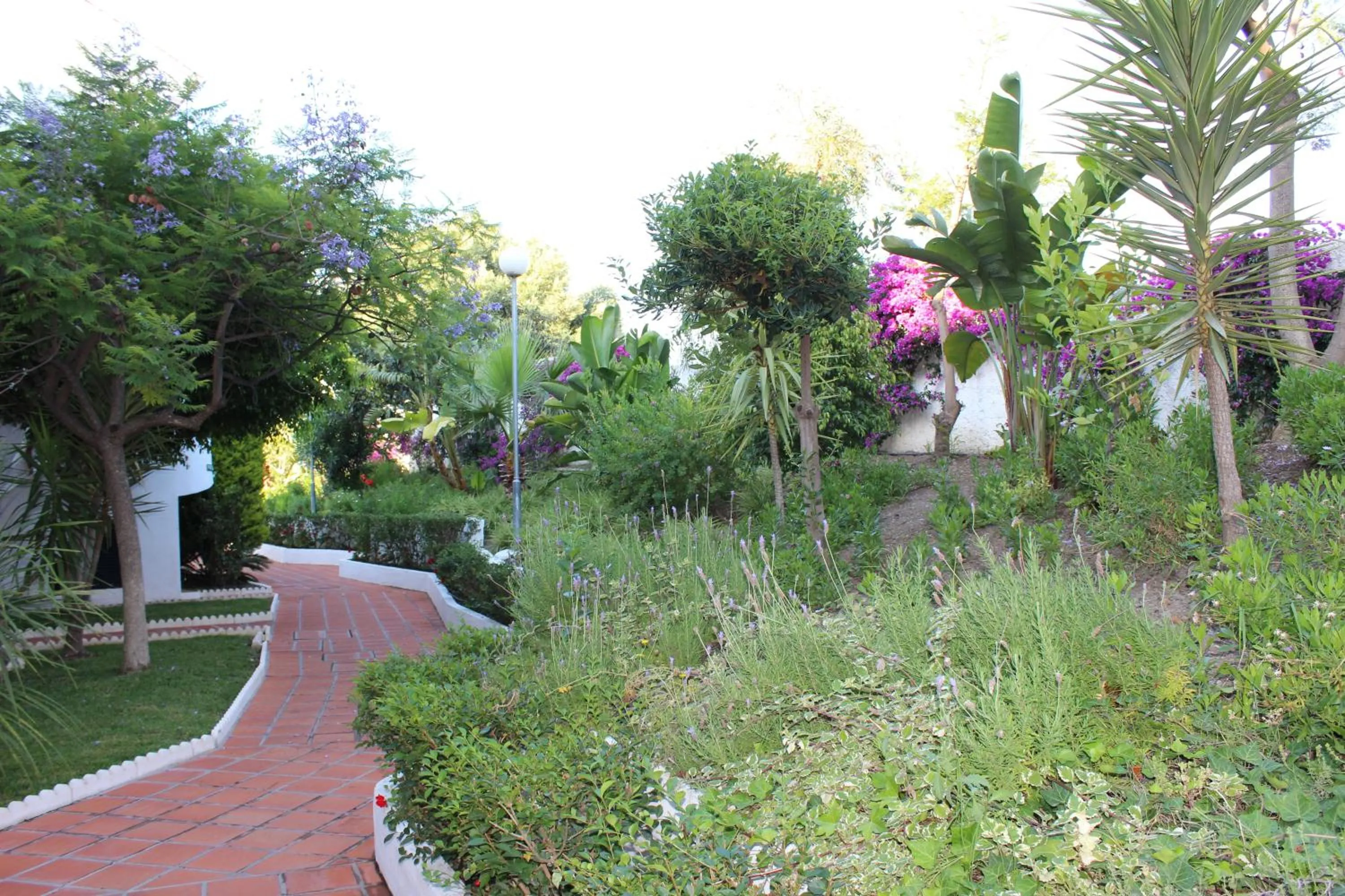 Garden in Apartamentos Las Rosas de Capistrano