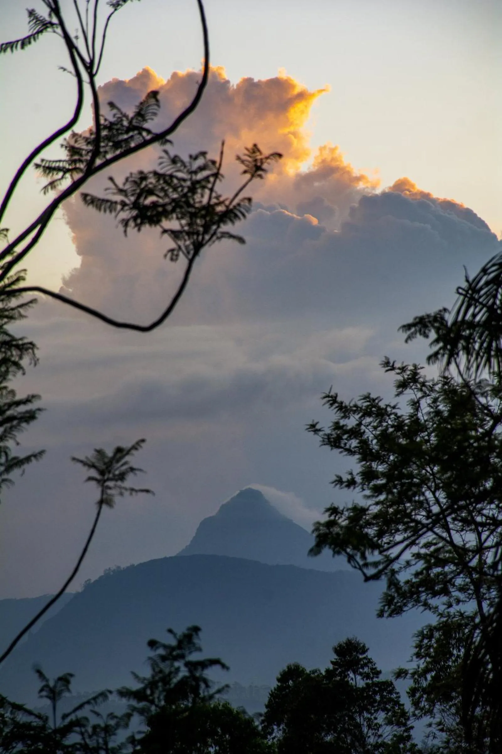 Natural landscape in Grand Argyle Resort