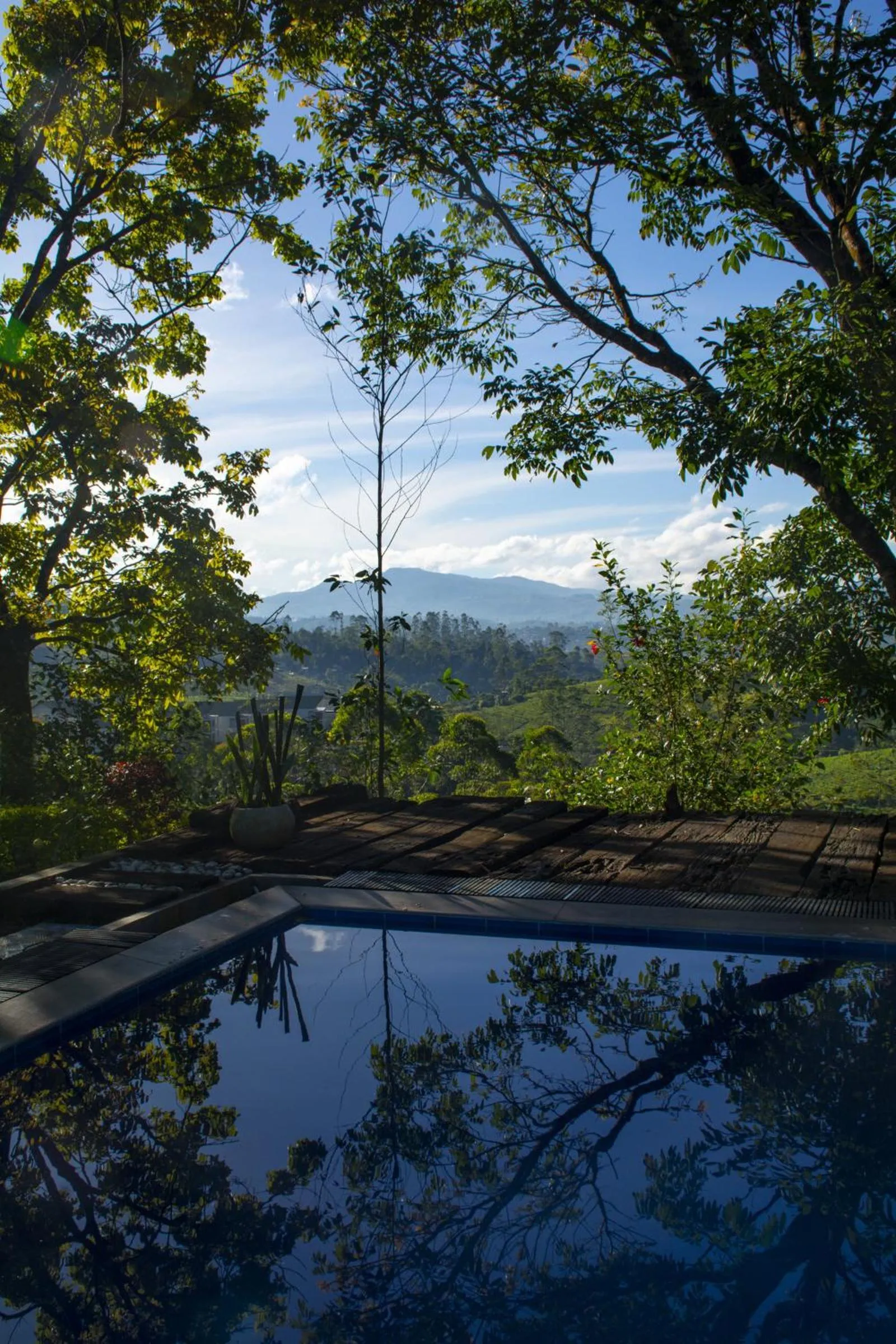 Natural landscape in Grand Argyle Resort