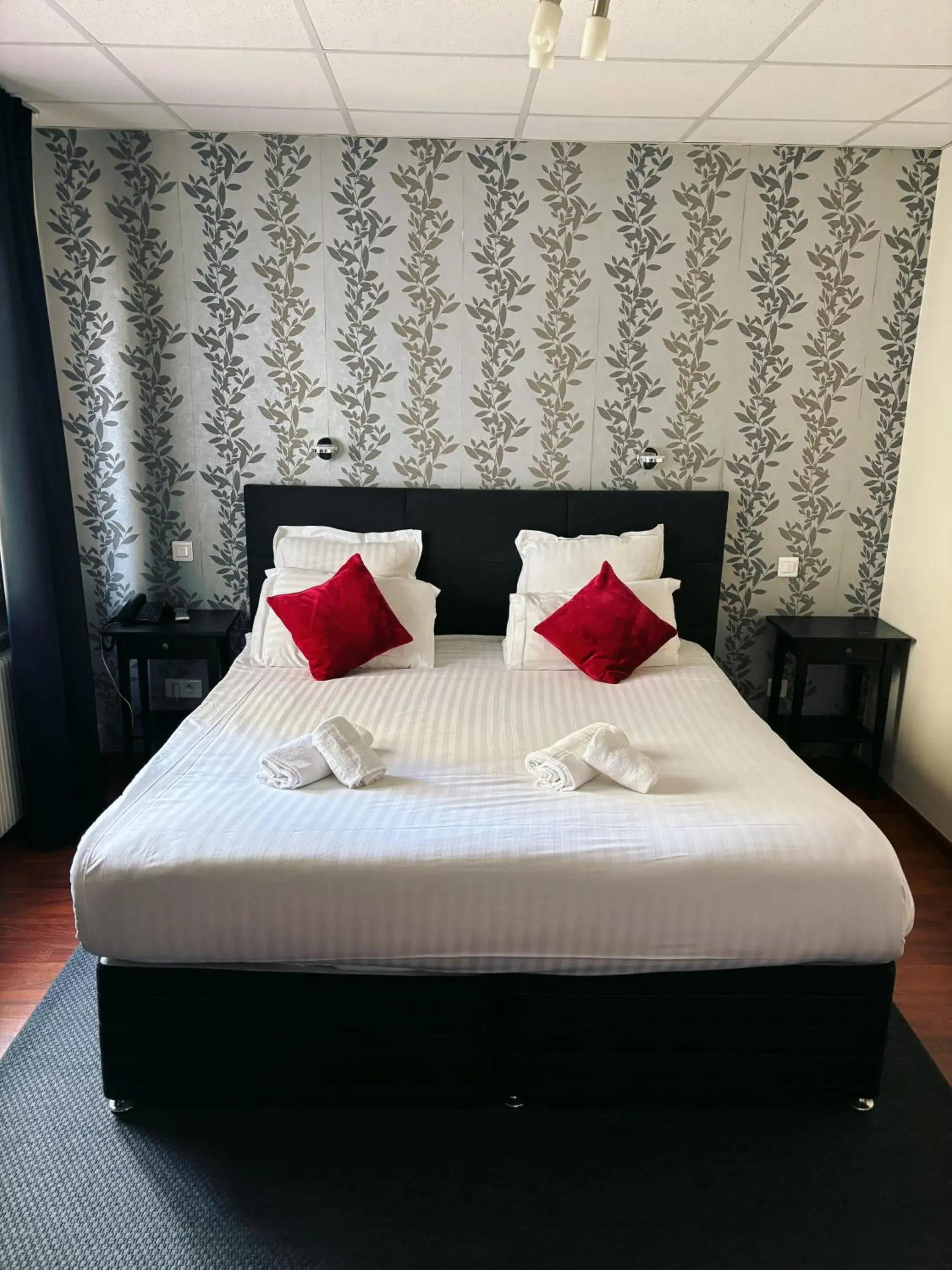 Standard King Room in Hotel Le Divona "au coeur de Divonne" Standard King Room in Hotel Le Divona "au coeur de Divonne"