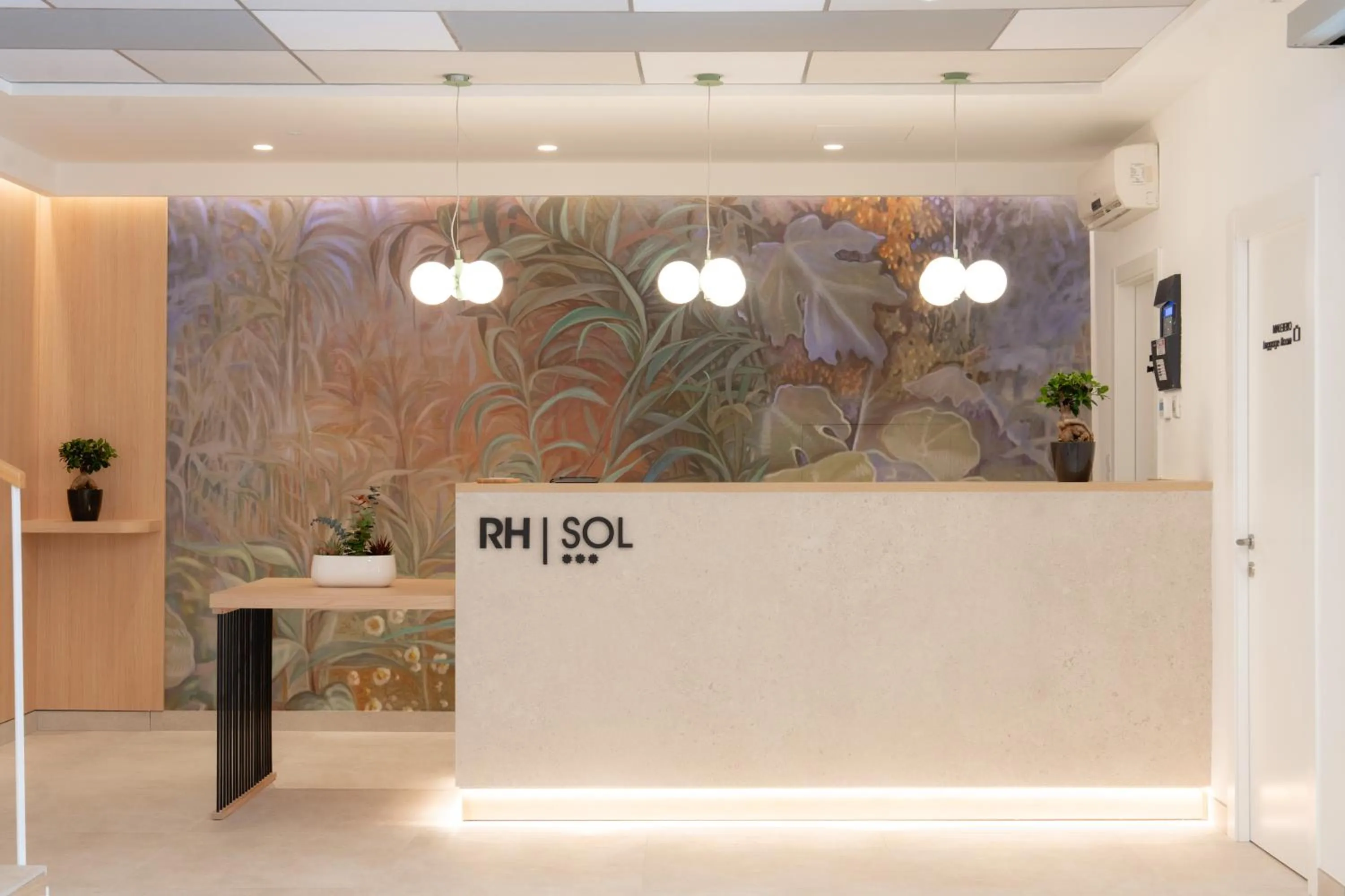 Lobby or reception in Estudios RH Sol