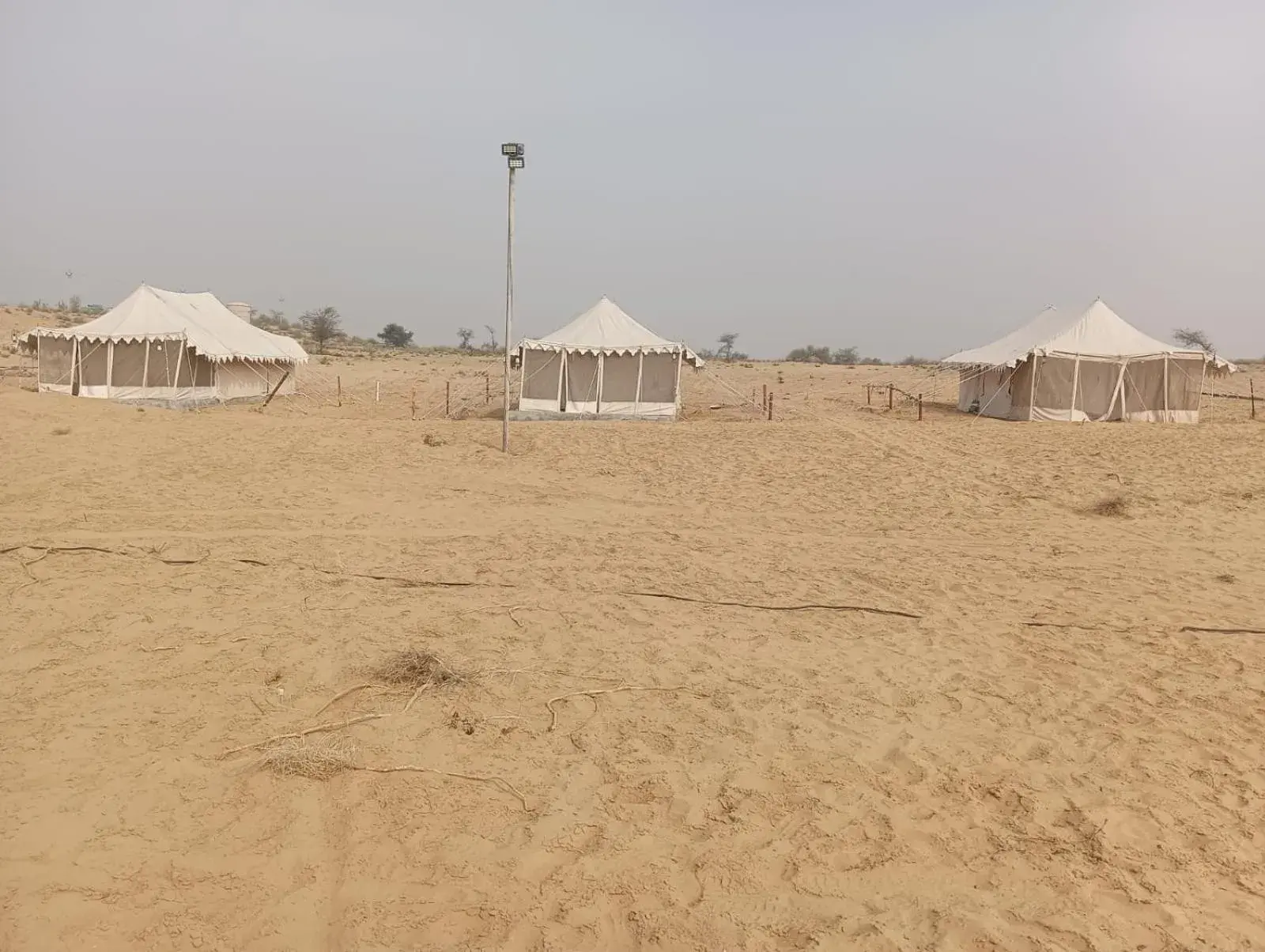 Tent in Bikaner Desert Camp and Resort Tent in Bikaner Desert Camp and Resort