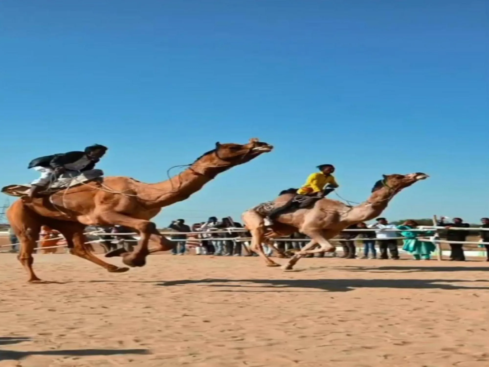People in Bikaner Desert Camp and Resort