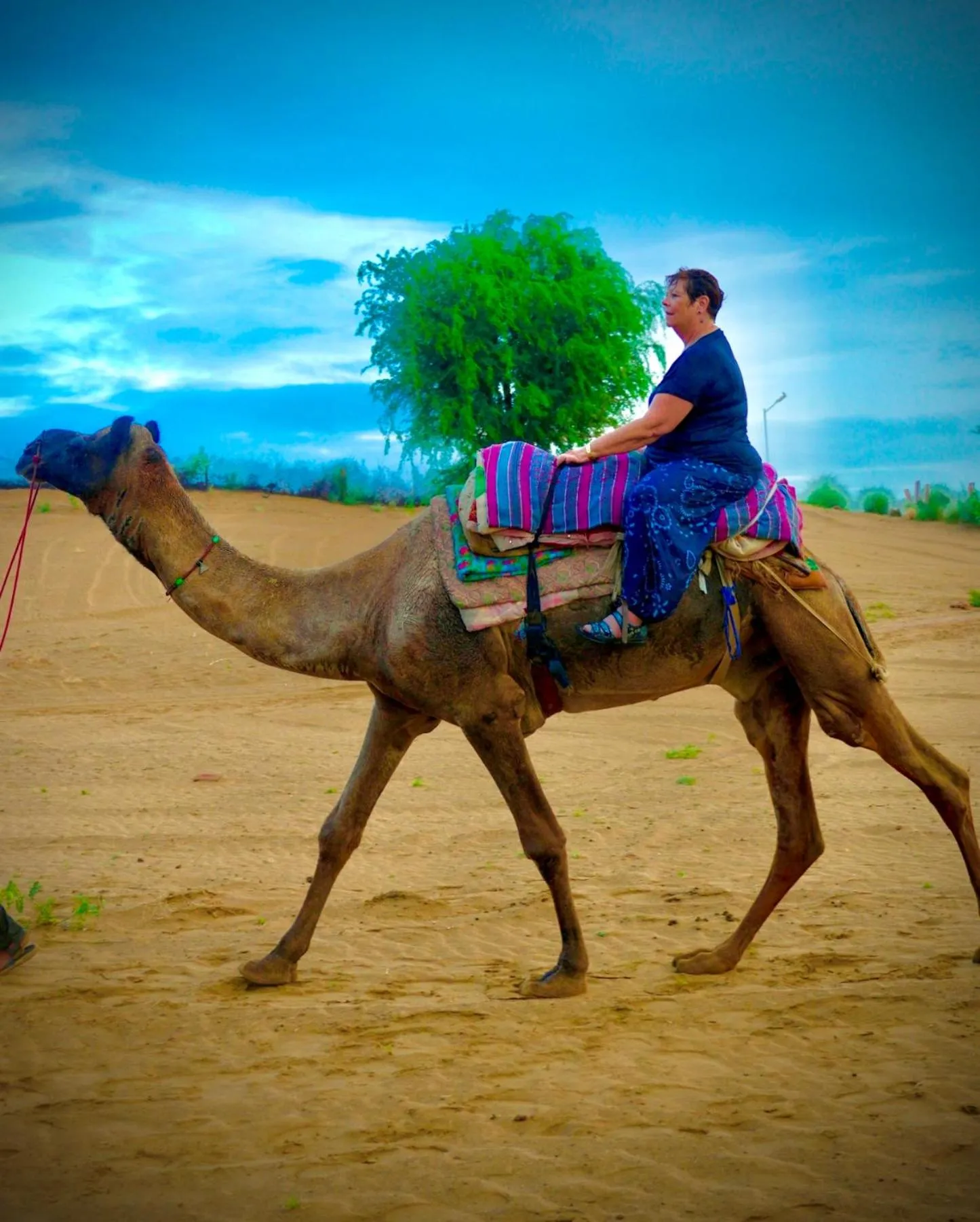 group of guests in Bikaner Desert Camp and Resort