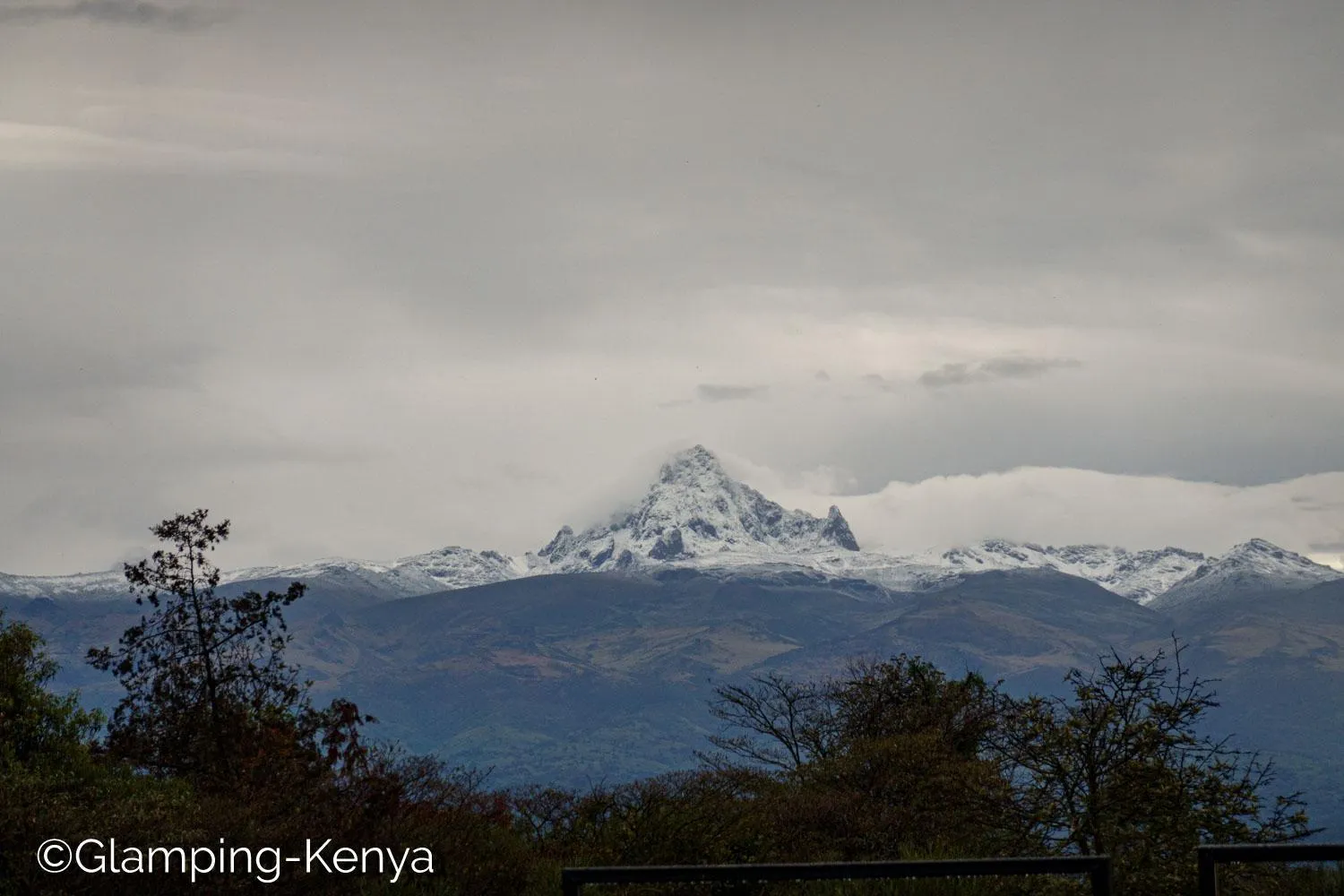 View (from property/room) in Glamping Kenya Mount Kenya Lodge Nanyuki