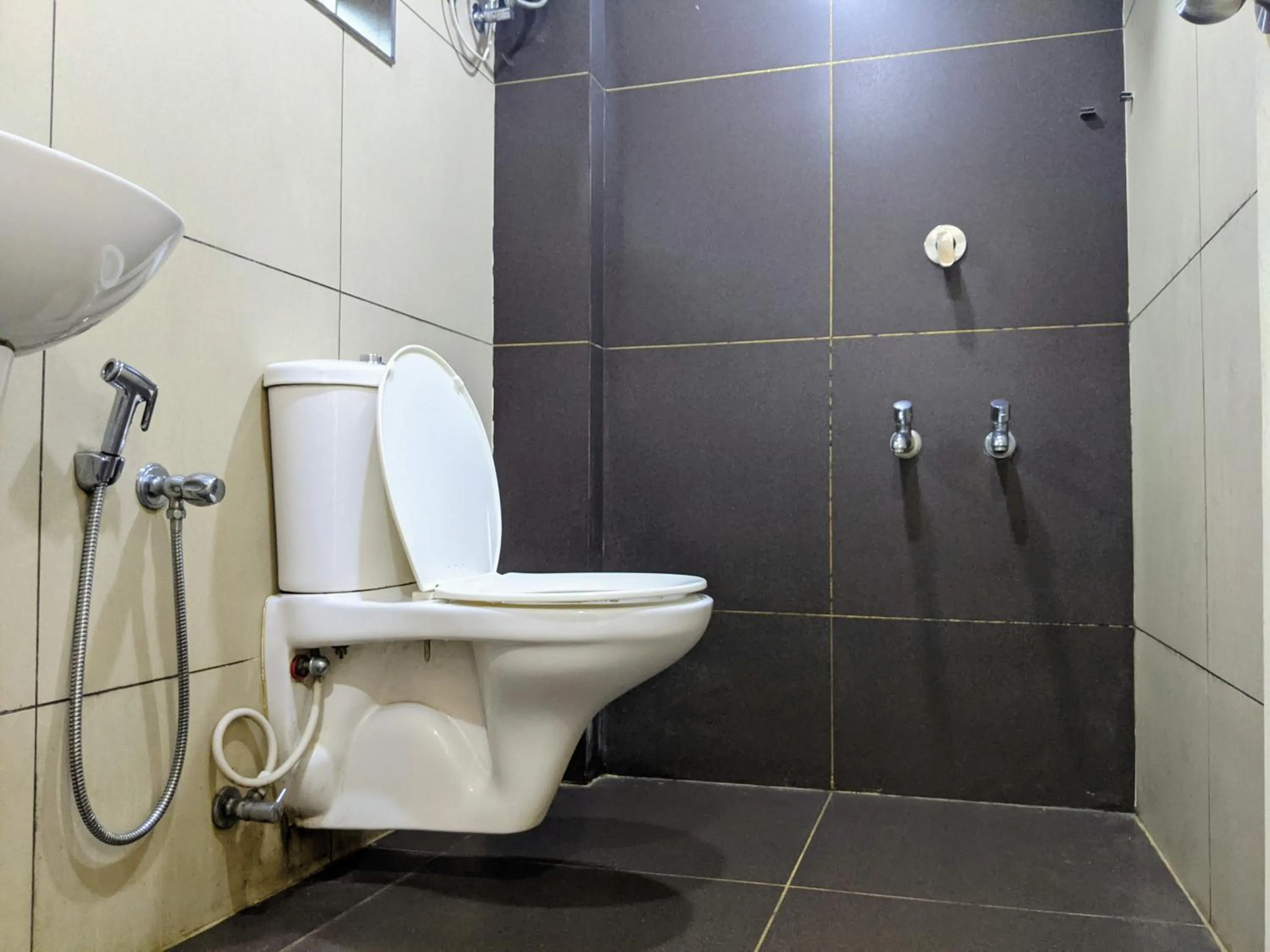 Bathroom in Hotel Feathers