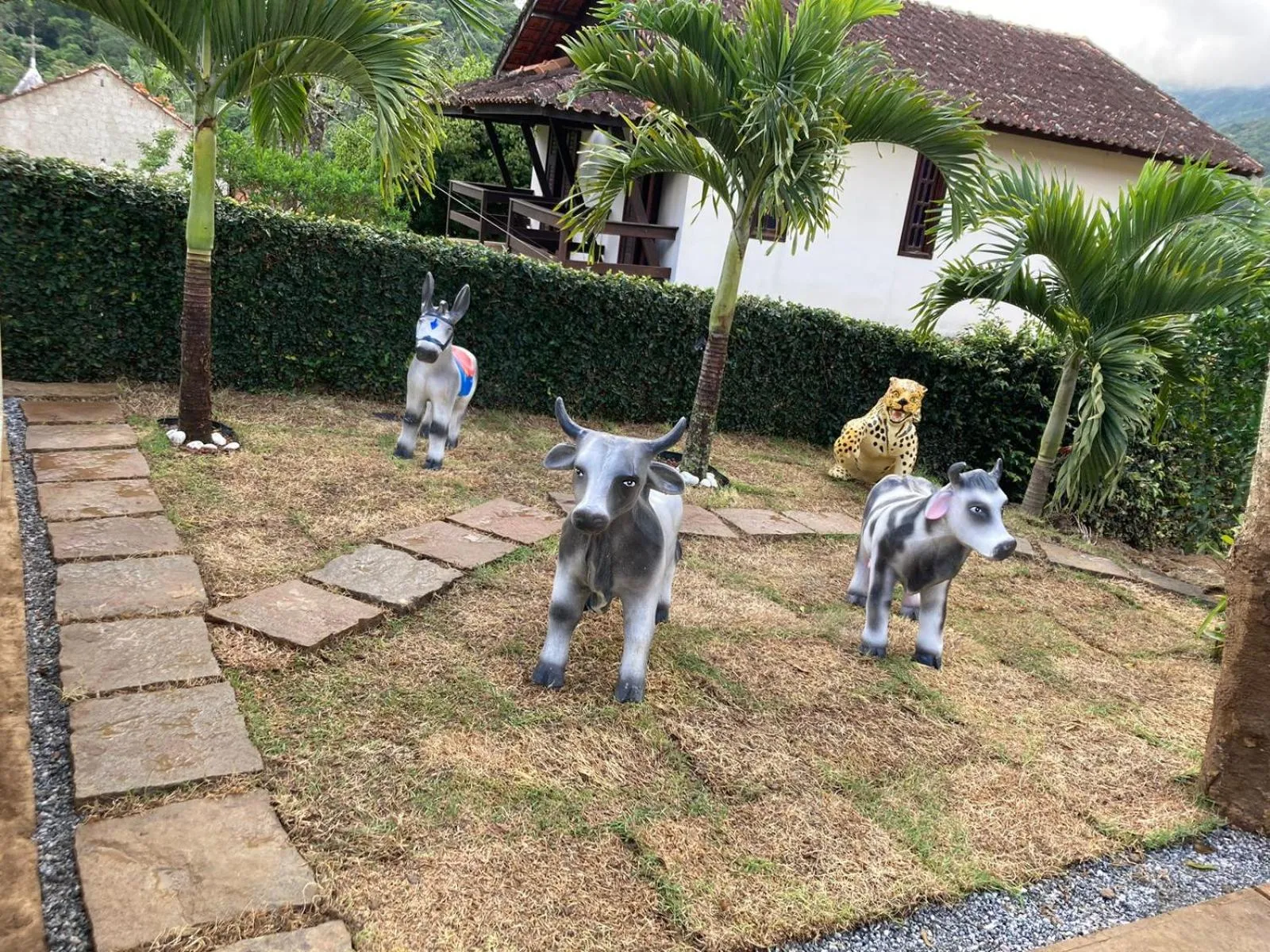 Garden in Pousada Renovo da Serra