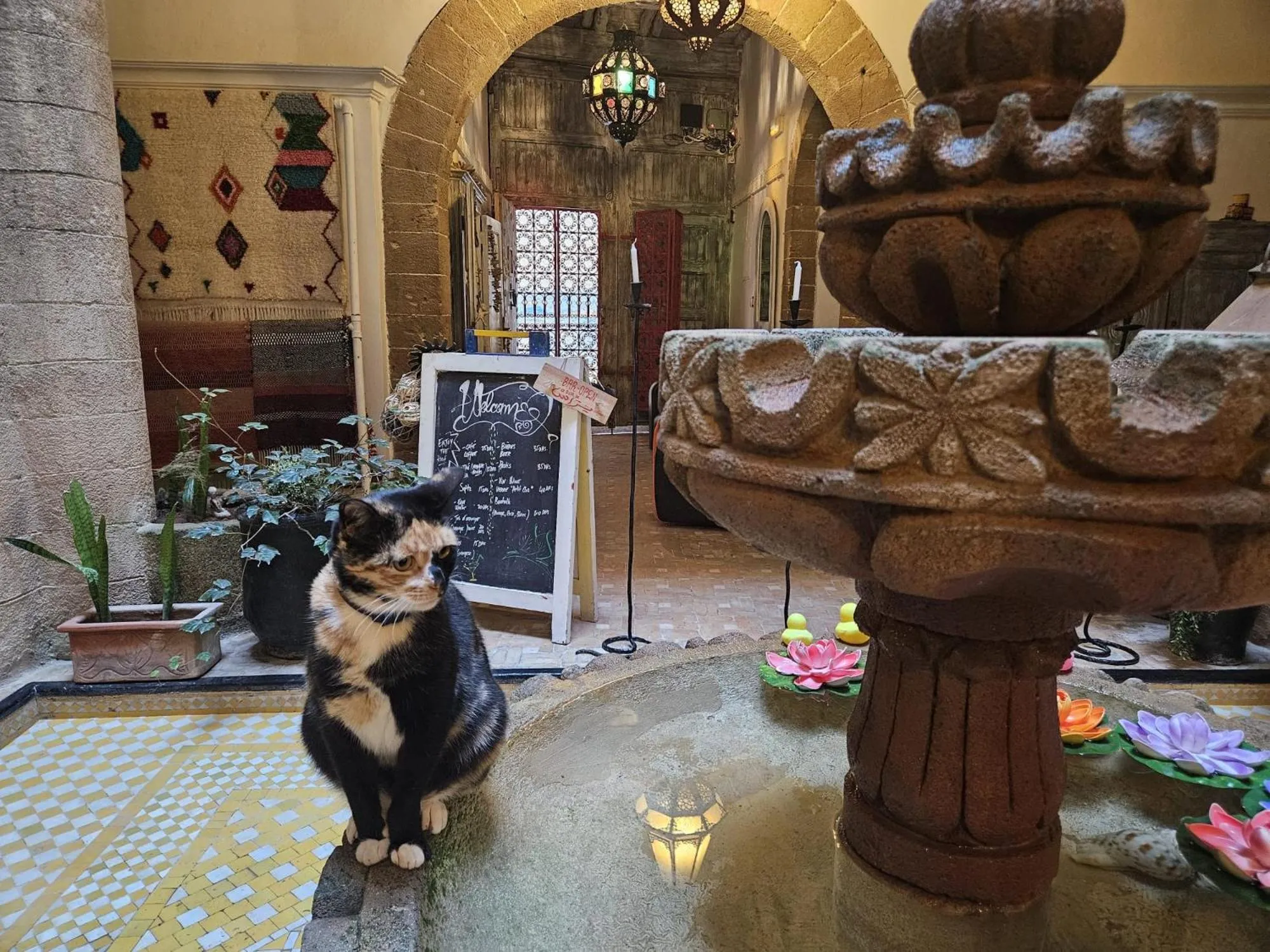 Living room in Les Terrasses d'Essaouira - Yoga Studio