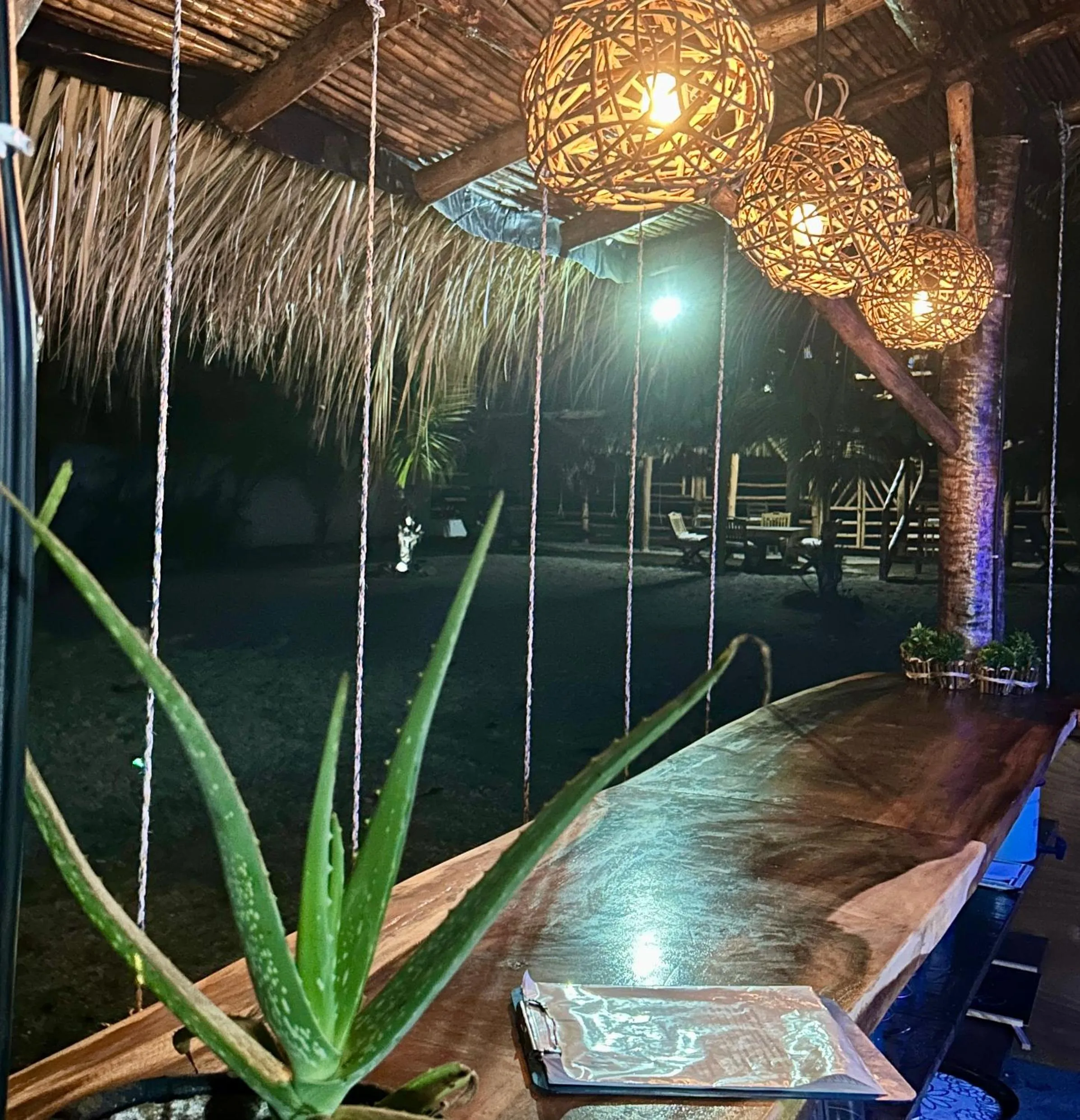 Lounge or bar in Hotel Tranquilo