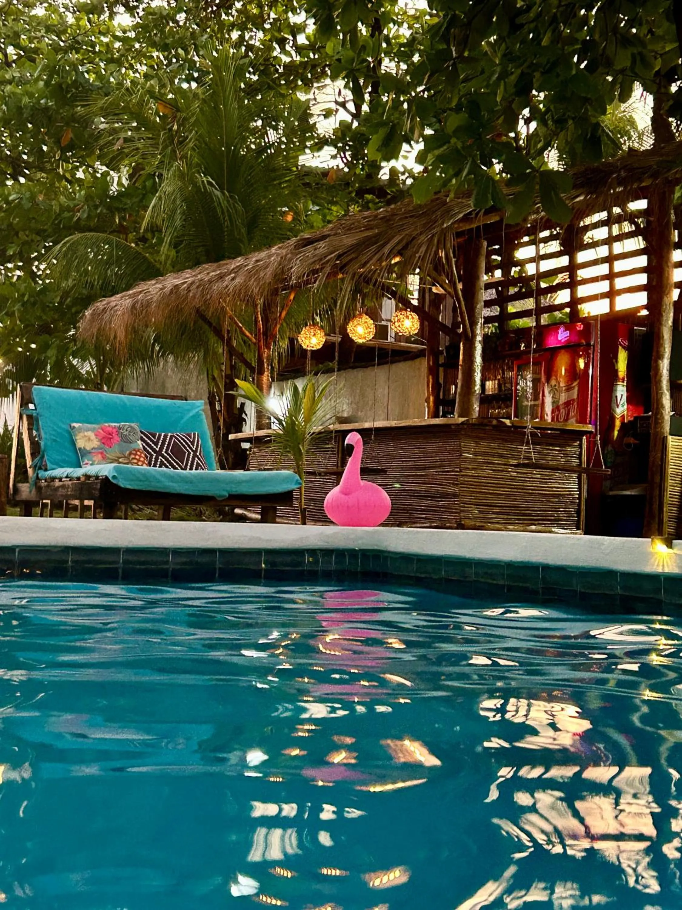 Lounge or bar in Hotel Tranquilo