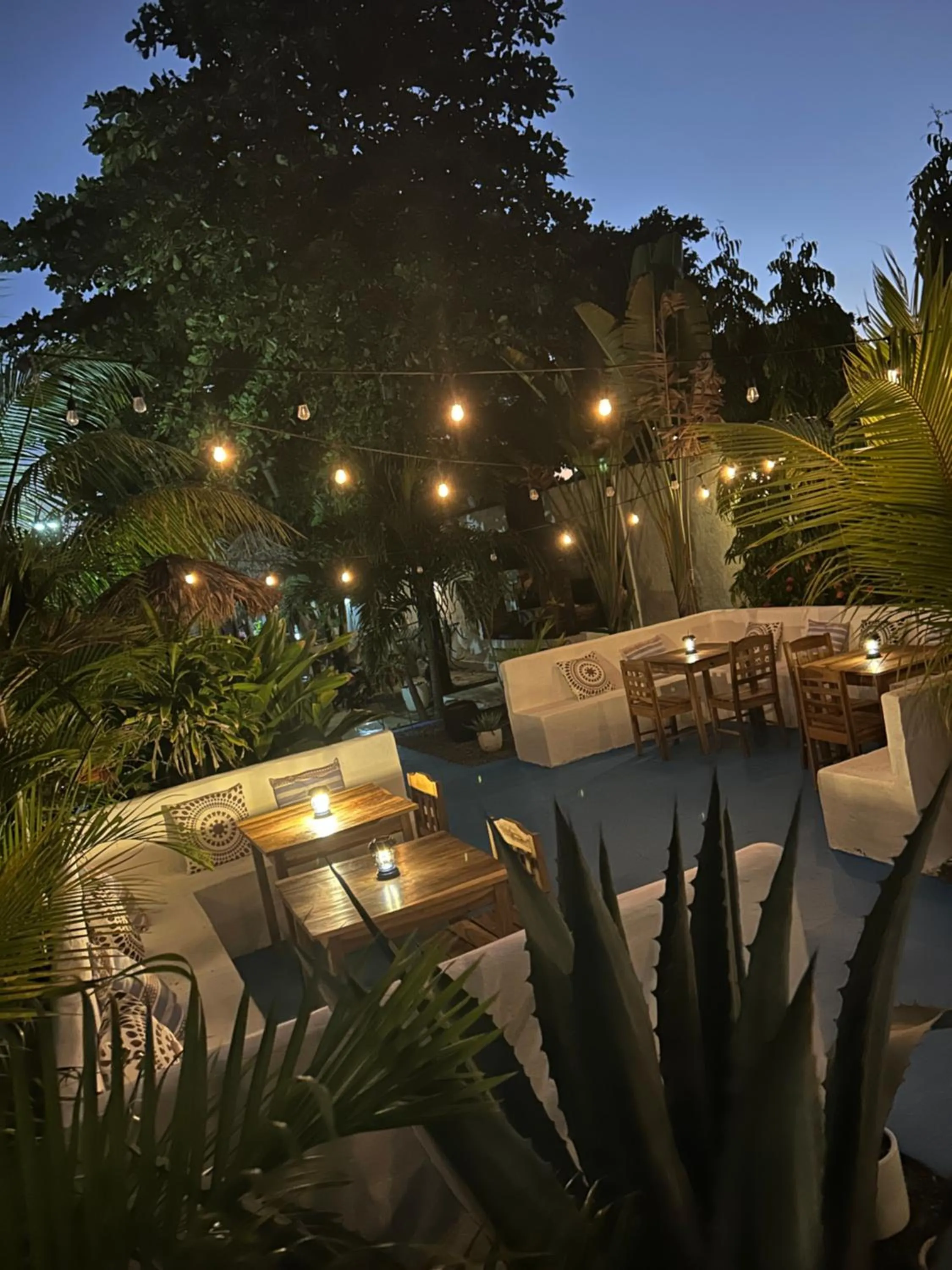 Patio in Hotel Tranquilo