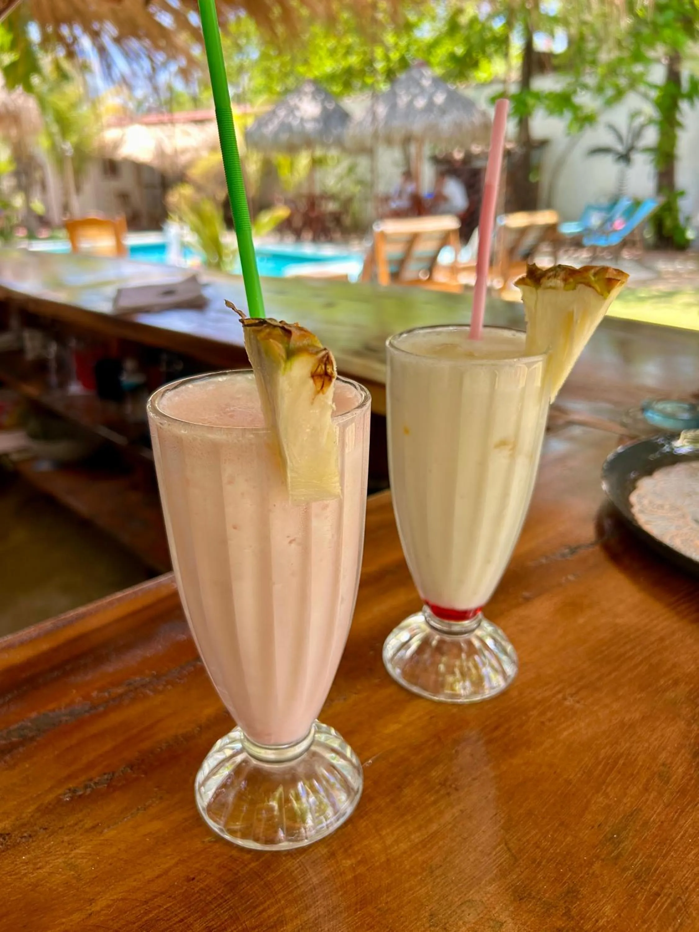 Lounge or bar in Hotel Tranquilo