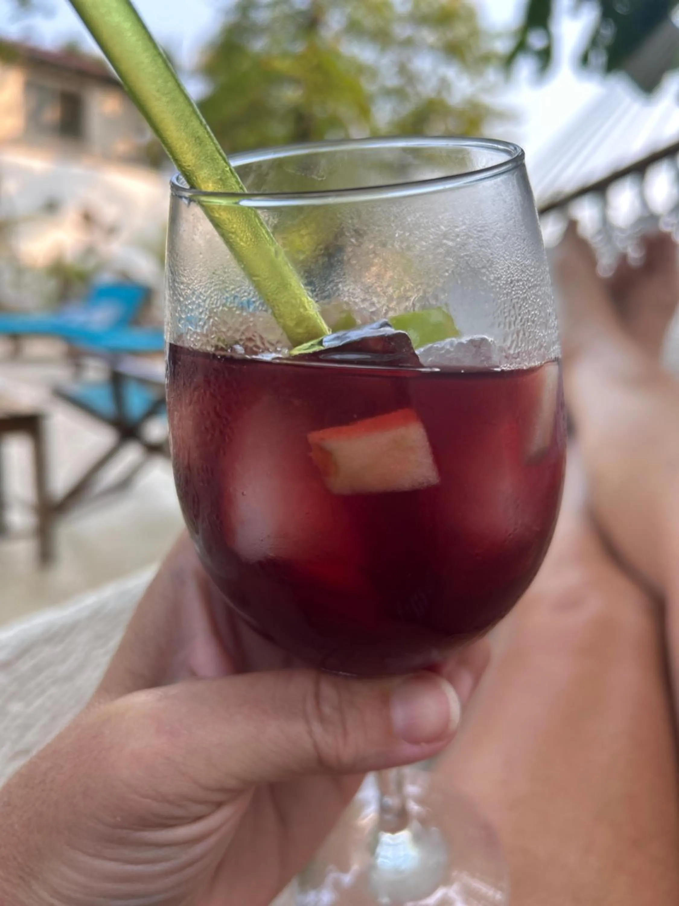 Lounge or bar in Hotel Tranquilo