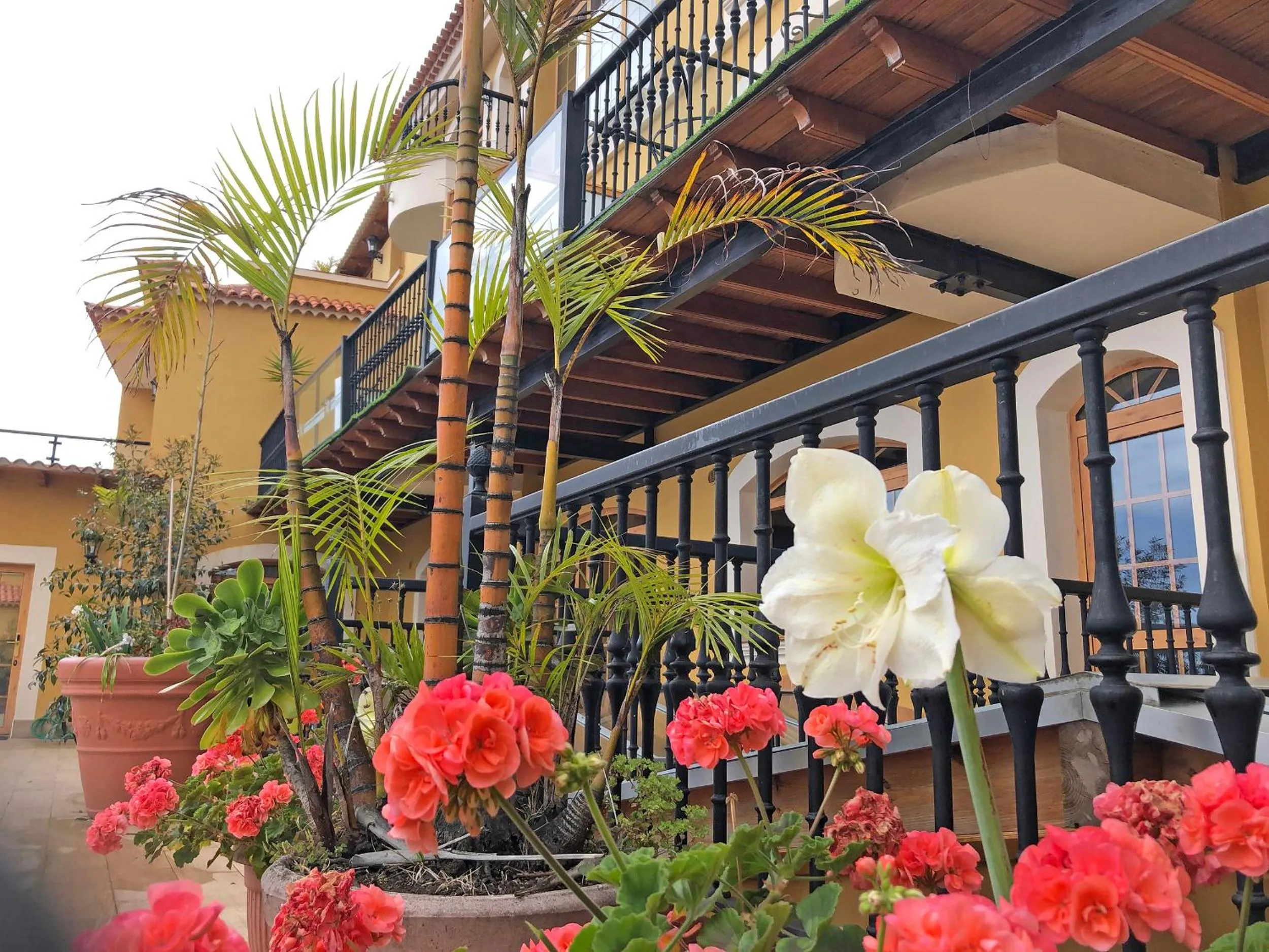 Property building in VV APARTAMENTOS ESTRELLA DEL NORTE