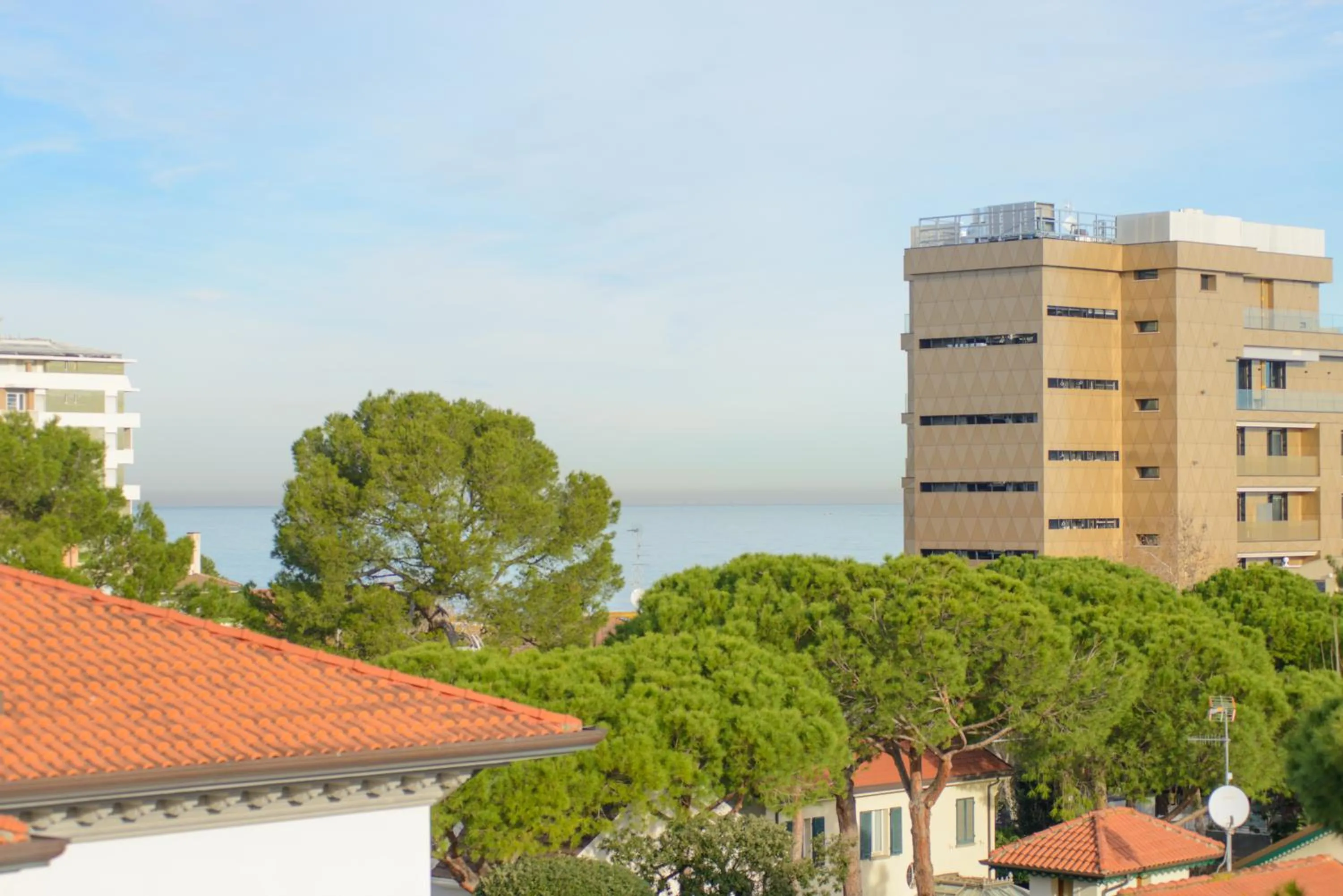 Day in Palace Hotel Domus Mea Riccione