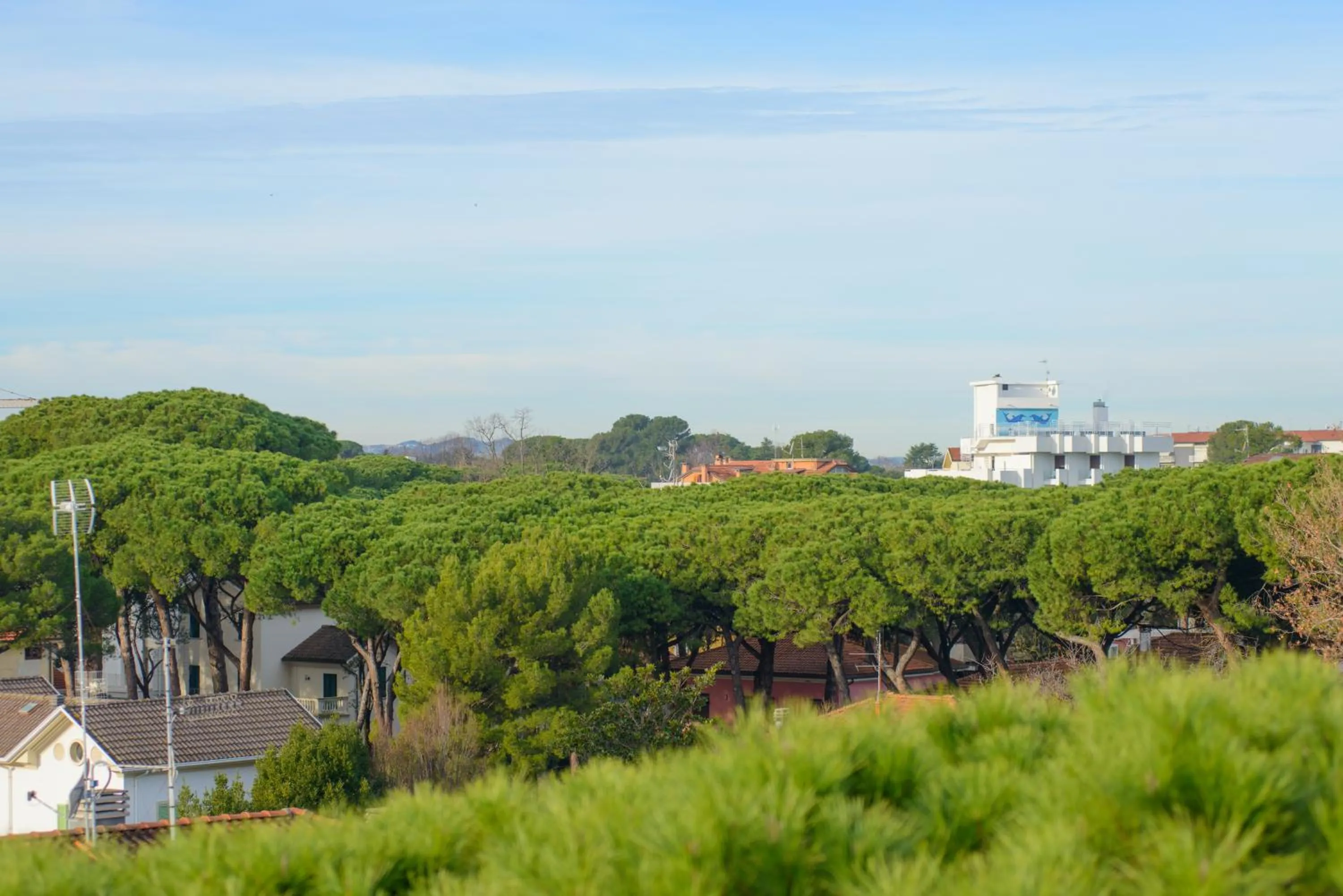 Day in Palace Hotel Domus Mea Riccione
