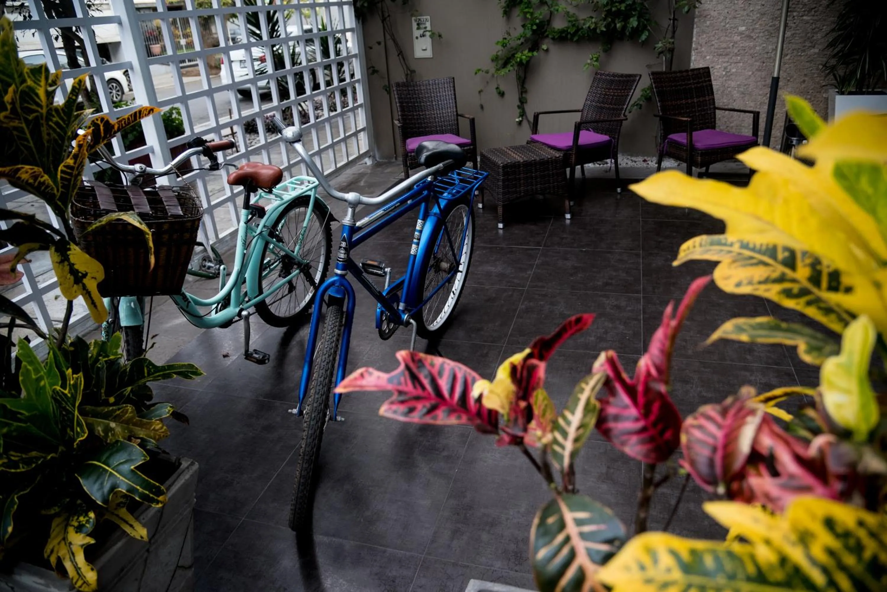 Patio in Hotel Andesmar