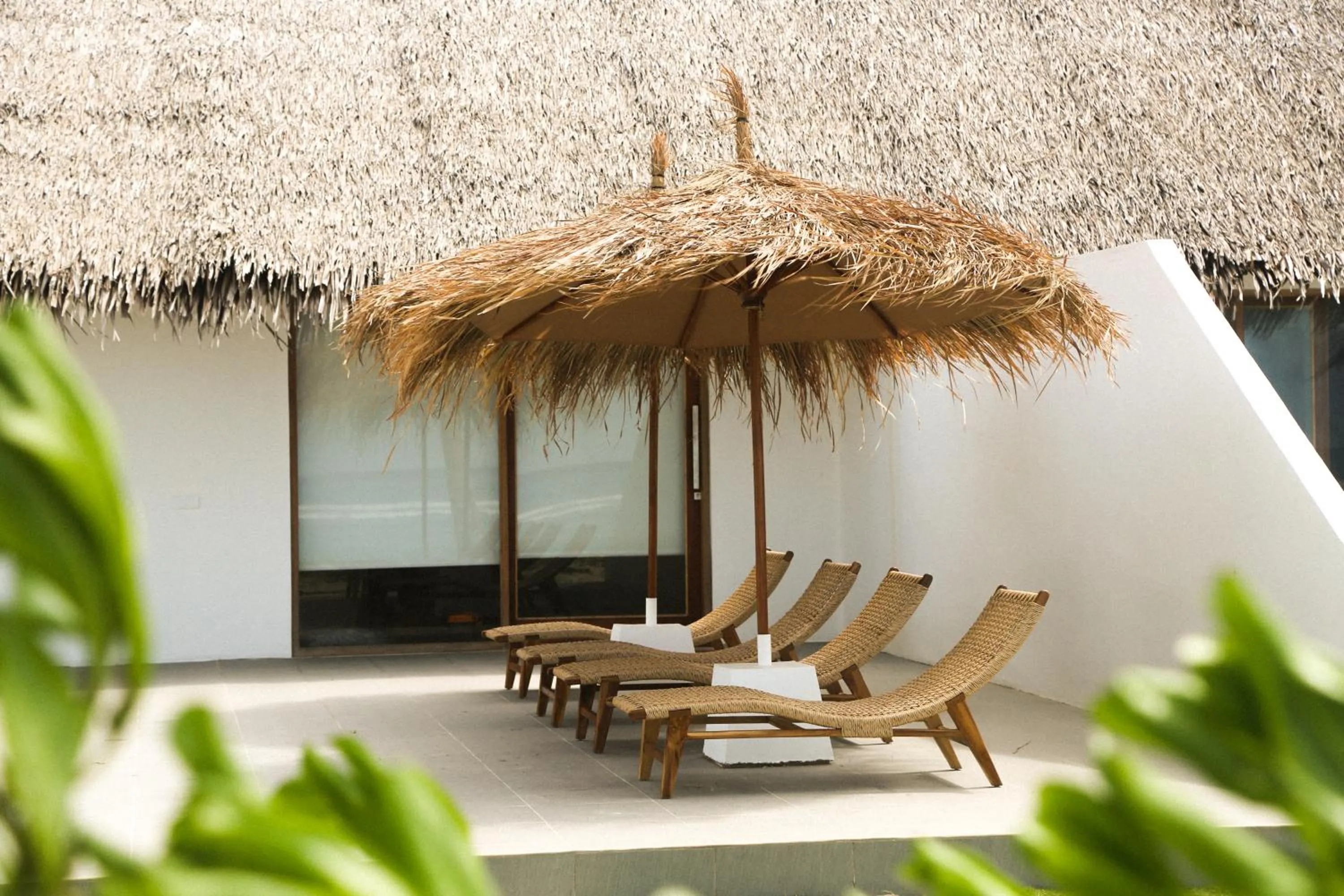 La Belle Hollow Trees