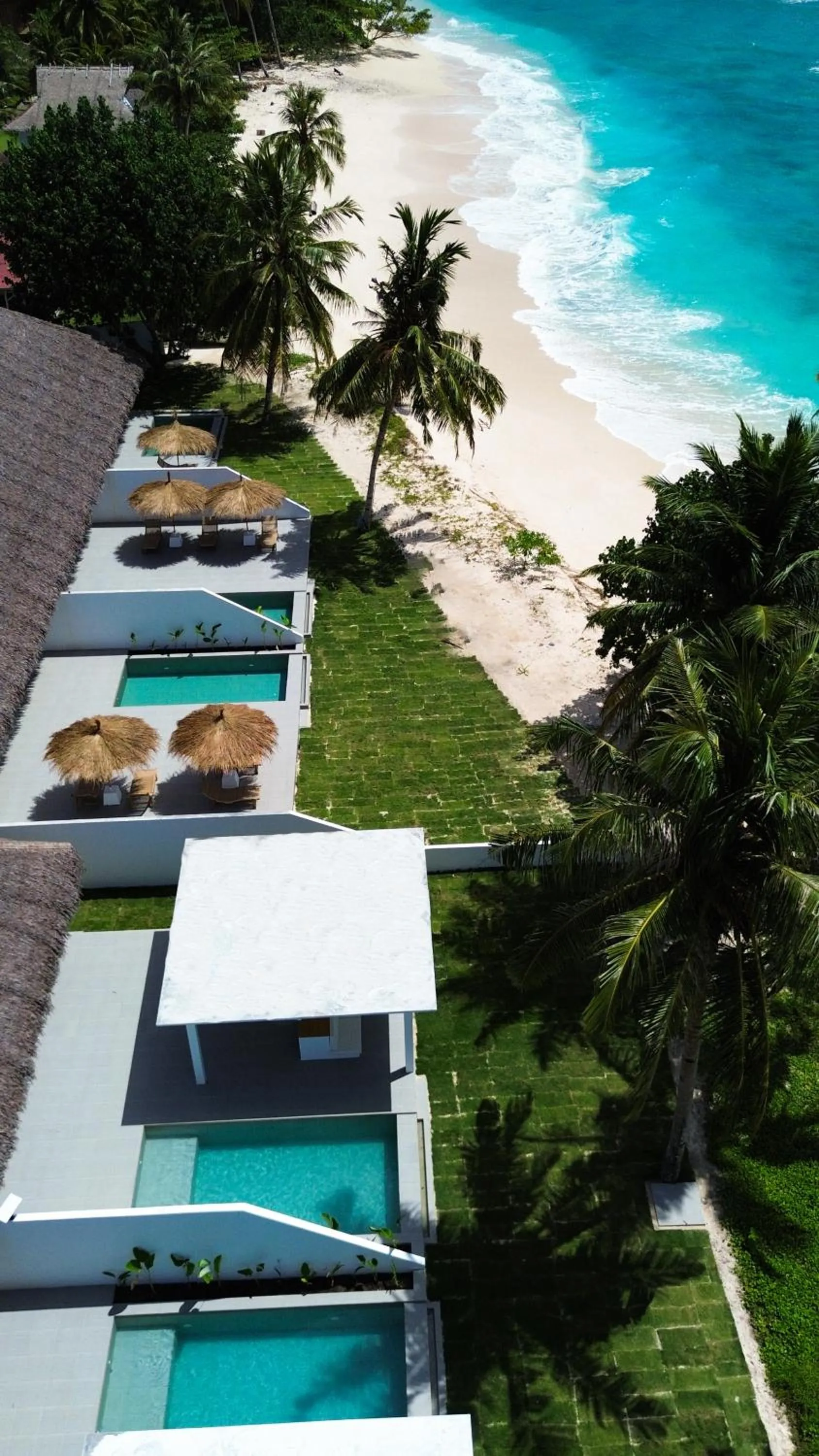 La Belle Hollow Trees