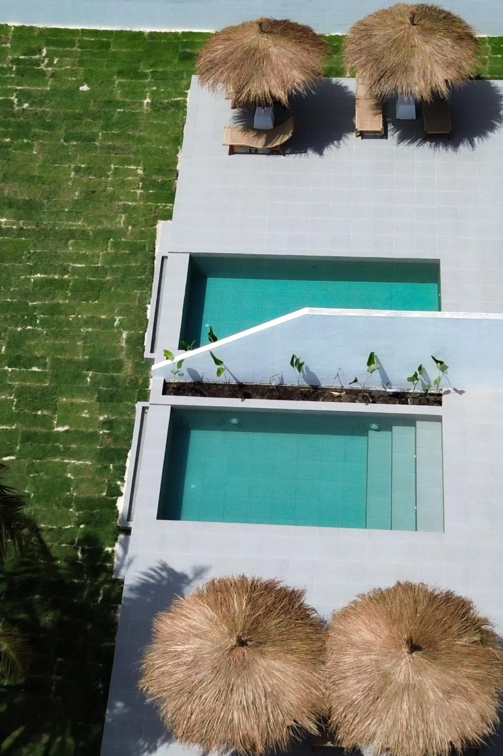 La Belle Hollow Trees