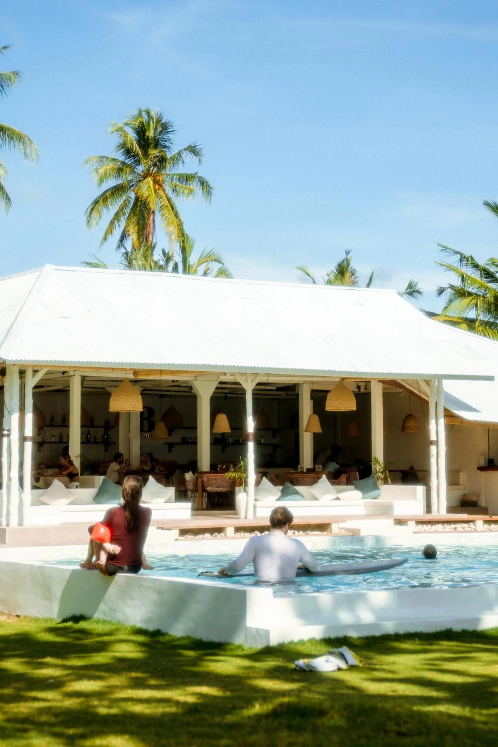 La Belle Hollow Trees