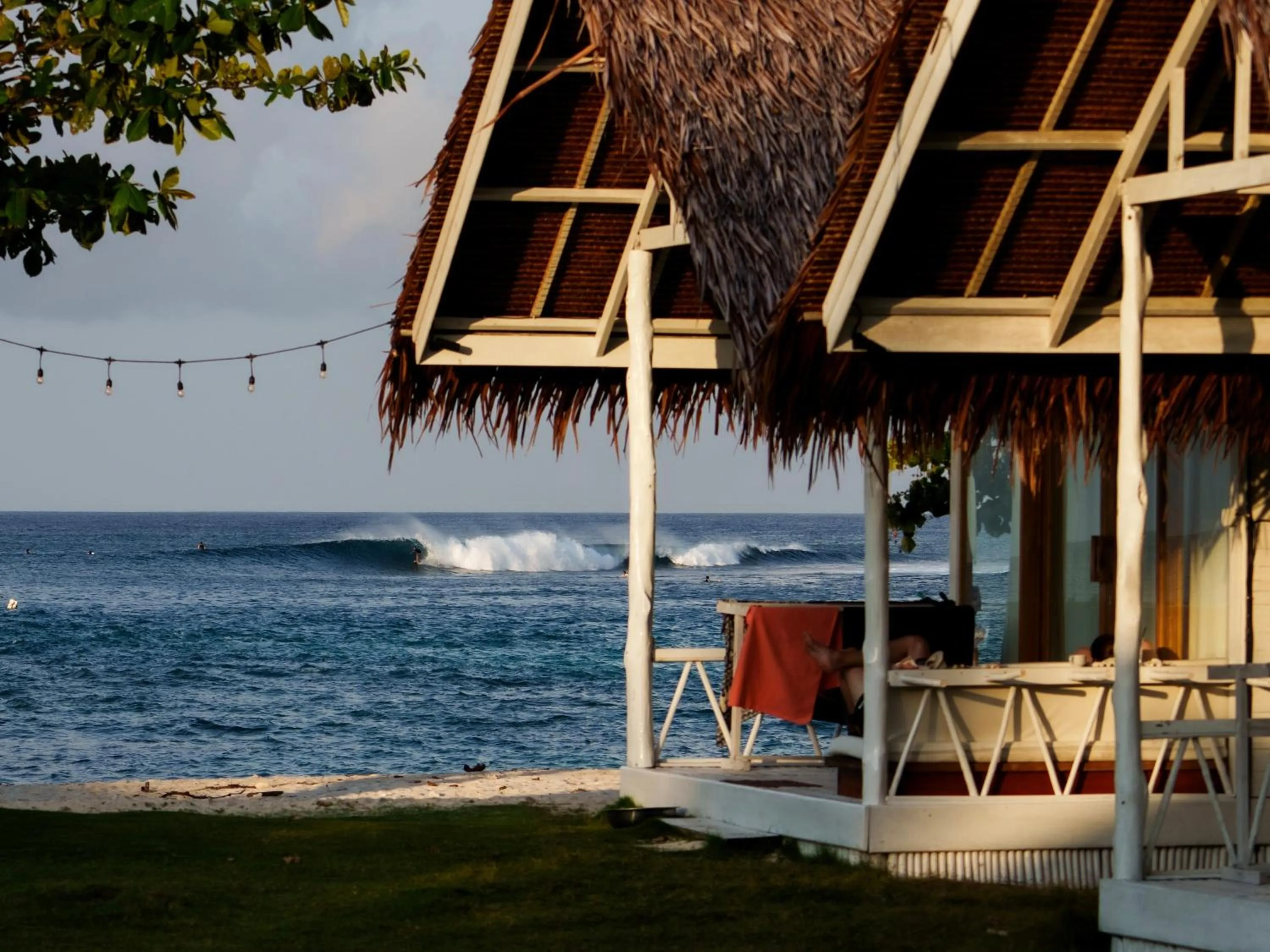 La Belle Hollow Trees