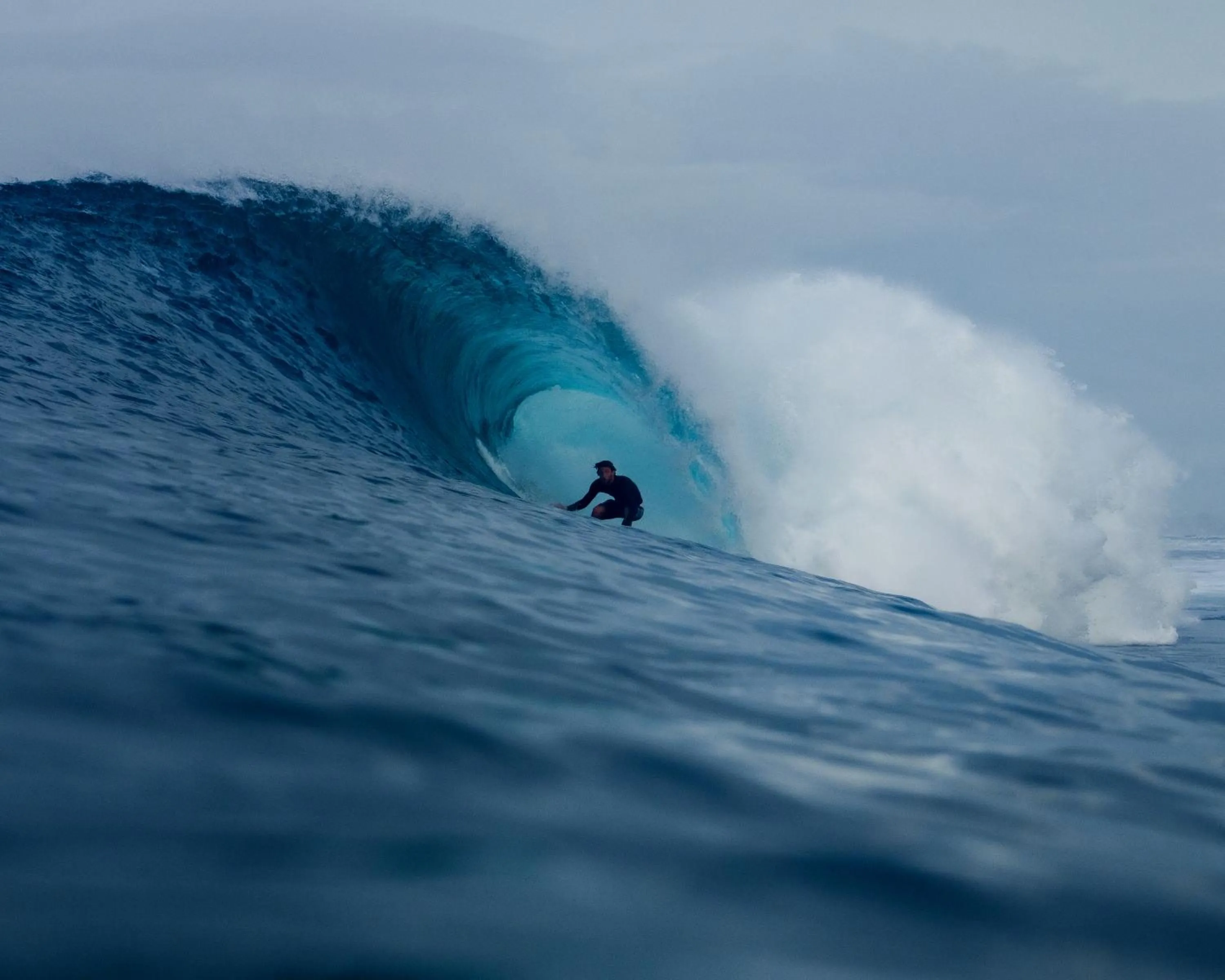 La Belle Hollow Trees